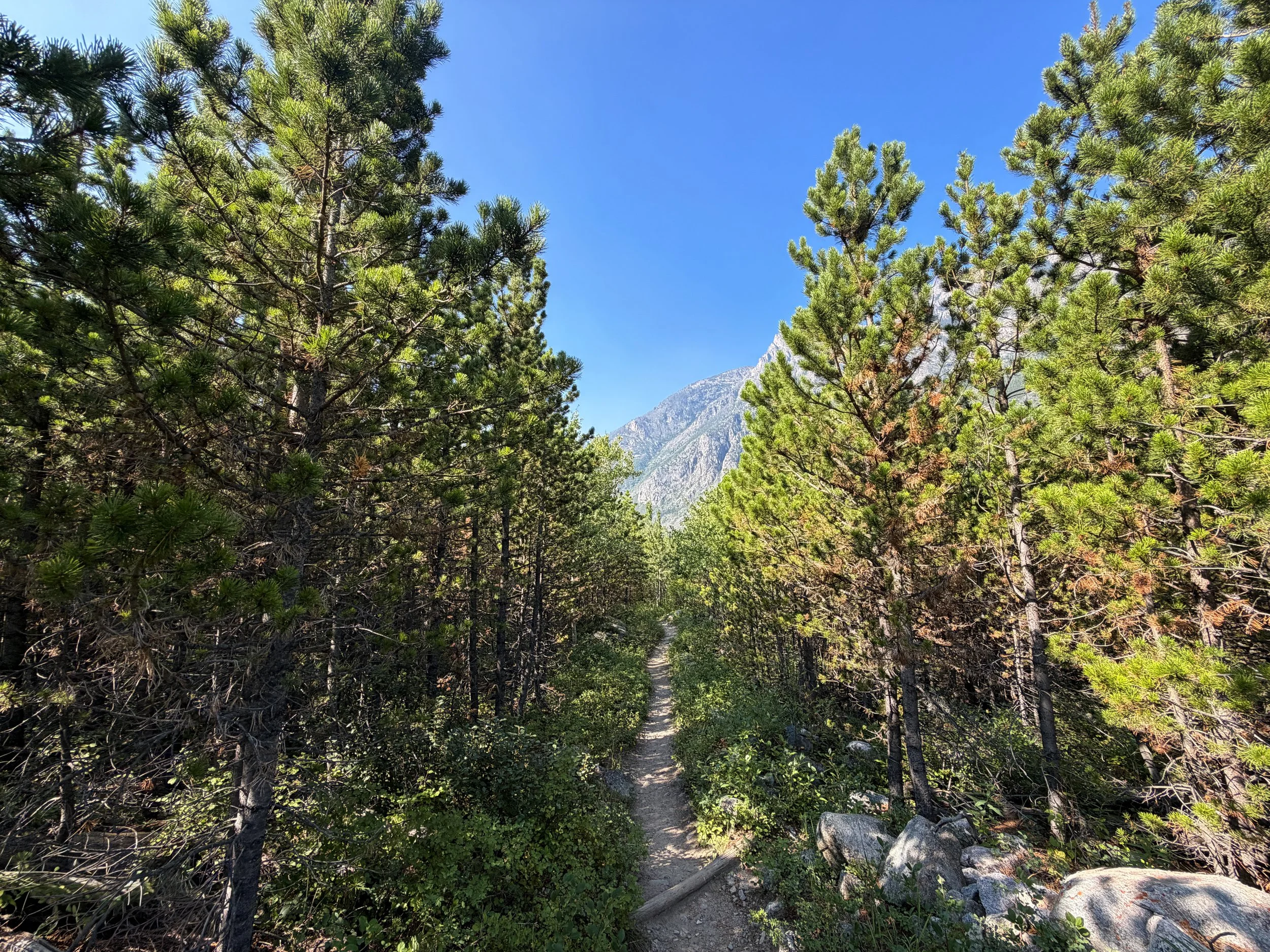 East Rosebud Trail Beartooth Mountains Montana