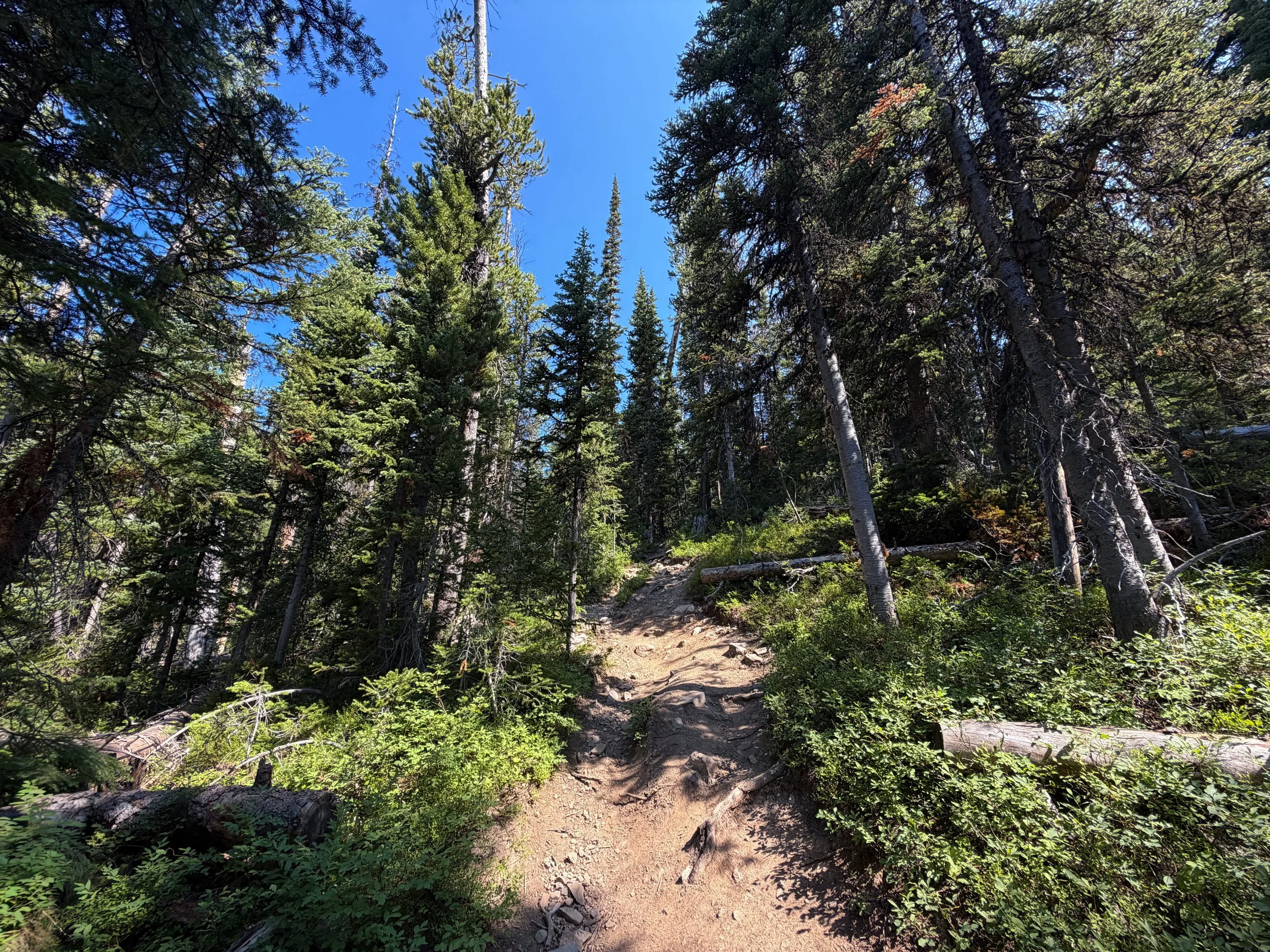 Avalanche Peak Trail Yellowstone National Park Wyoming