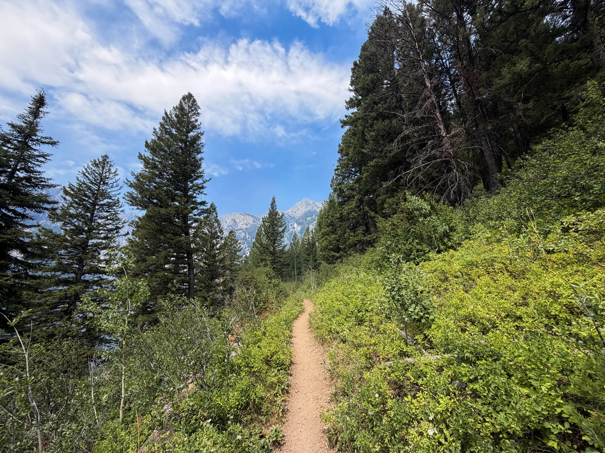 Phelps Lake Loop Trail Grand Teton National Park Wyoming
