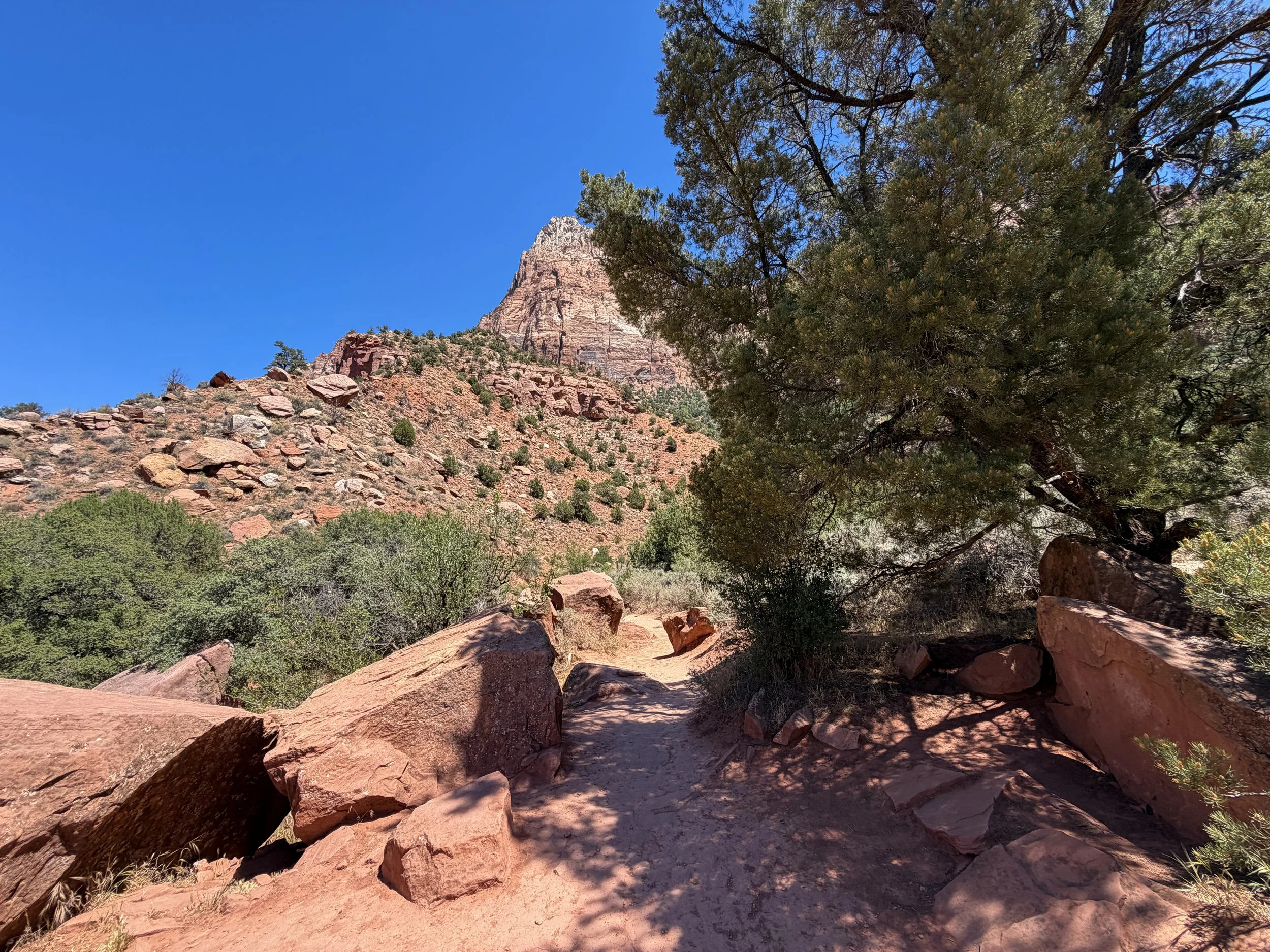 Watchman Hike Zion National Park Utah