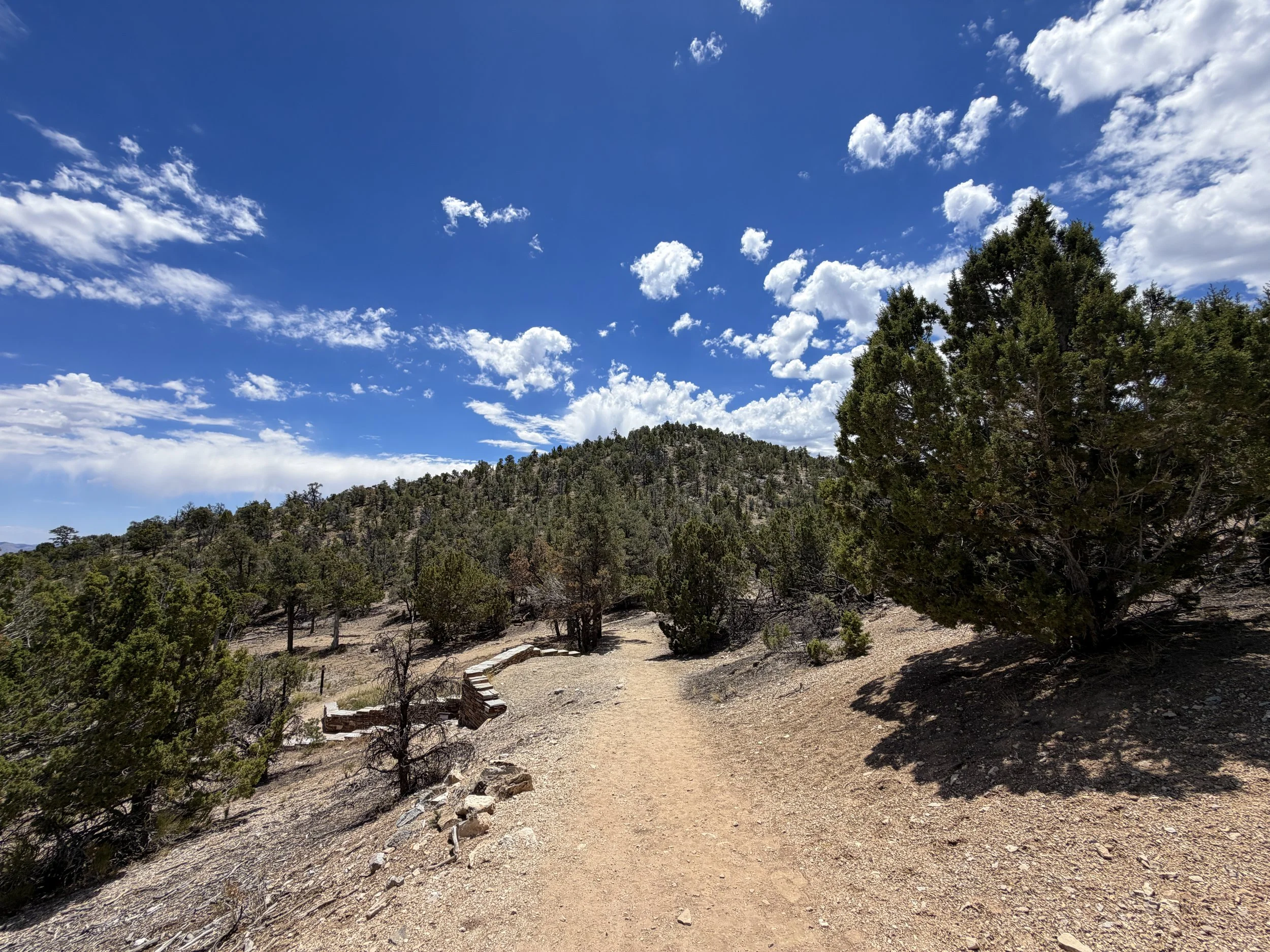 Mountain View Nature Trail Great Basin National Park Nevada