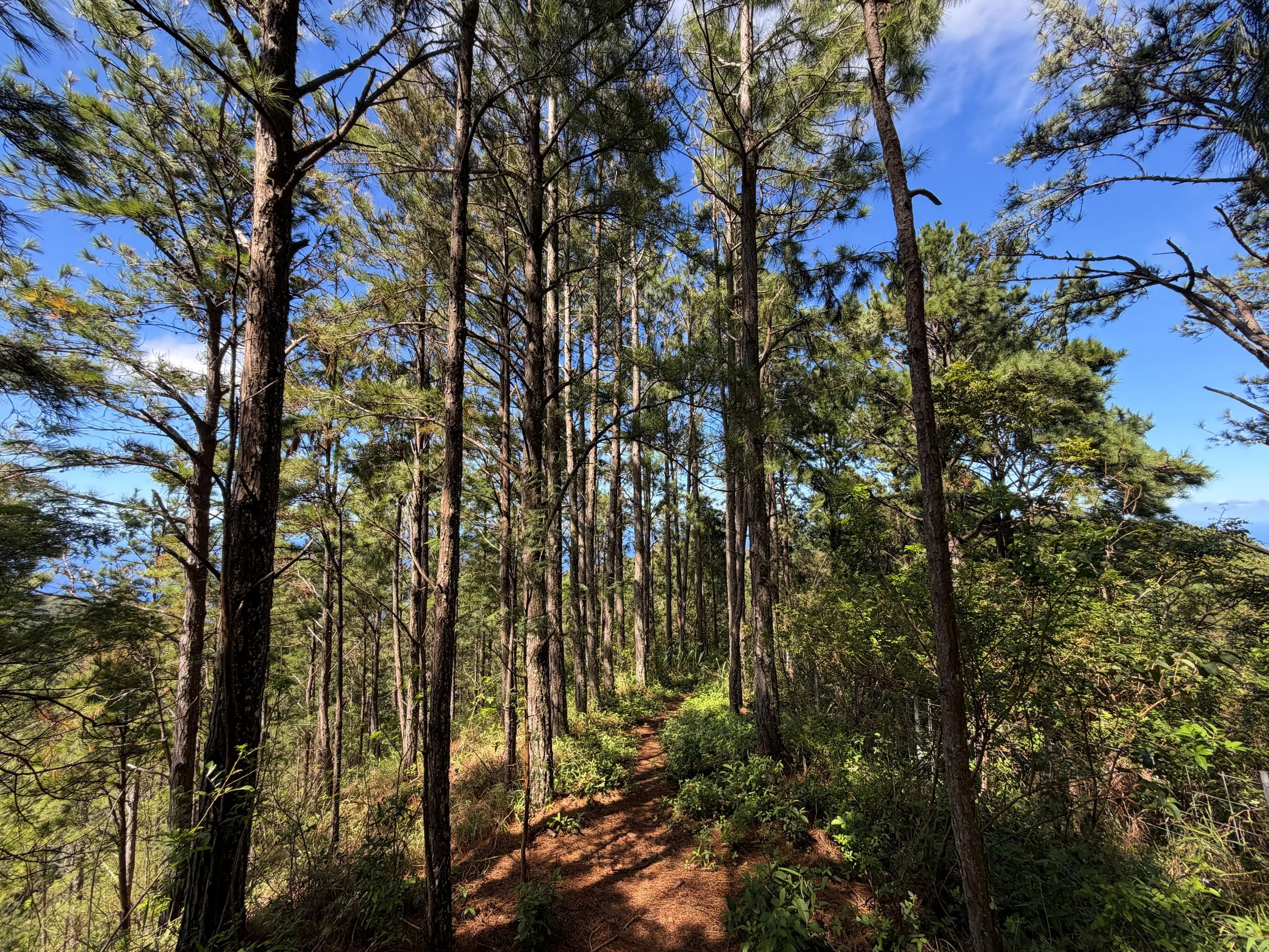Kuaokala Hike Oahu Hawaii