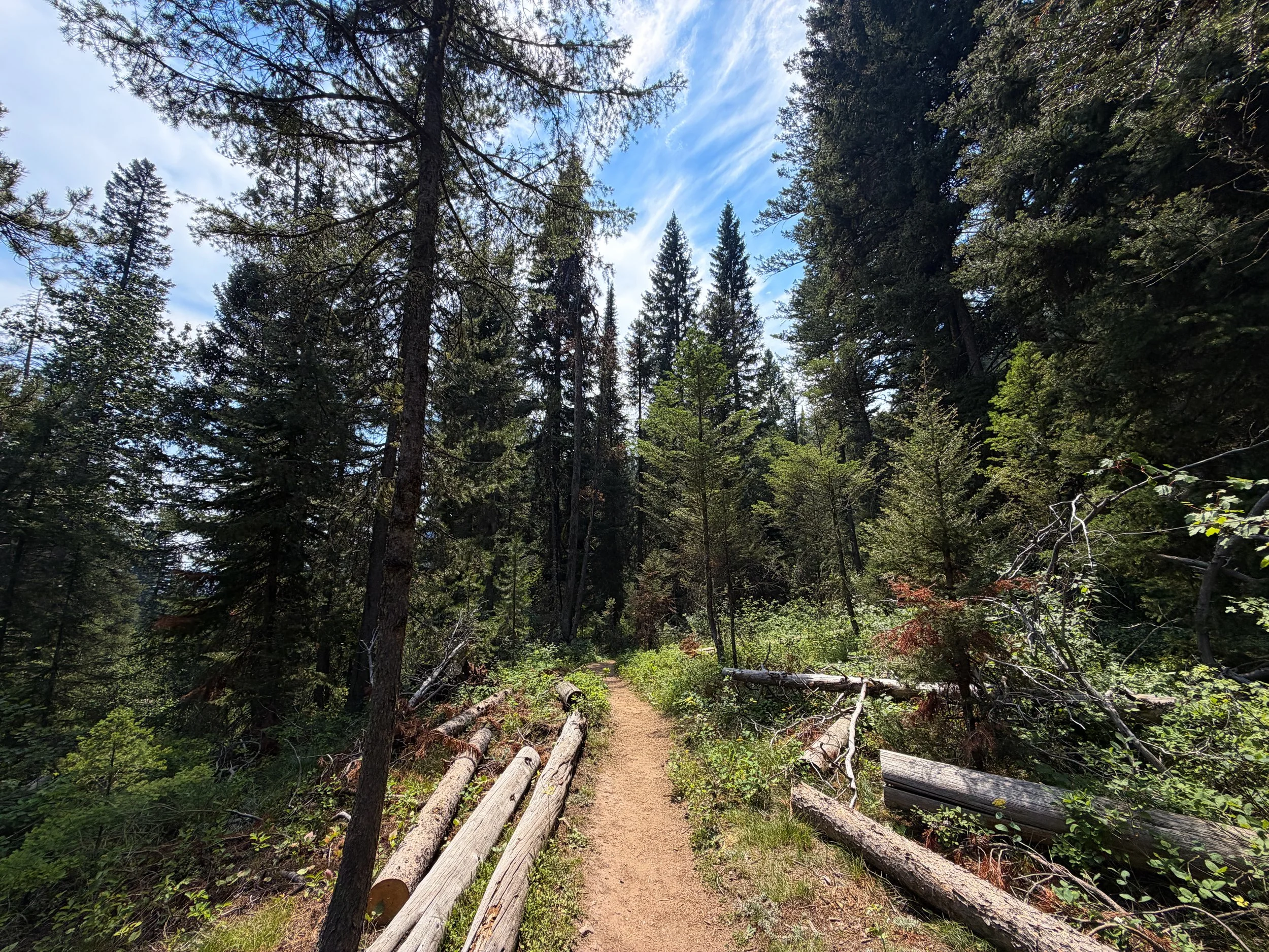 Phelps Lake Loop Trail Grand Teton National Park Wyoming