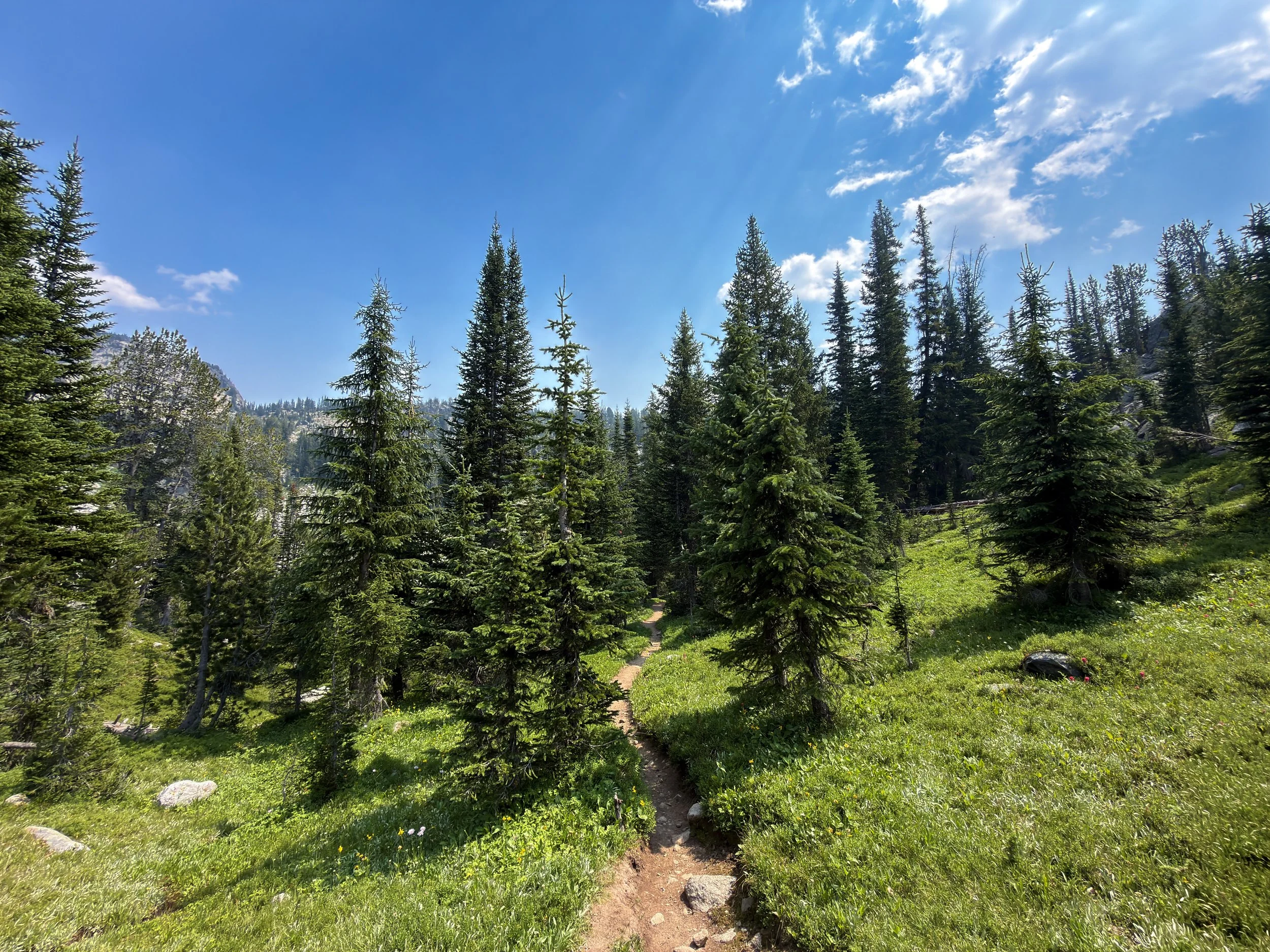 Russel Creek Trail The Beaten Path Beartooth Mountains Montana