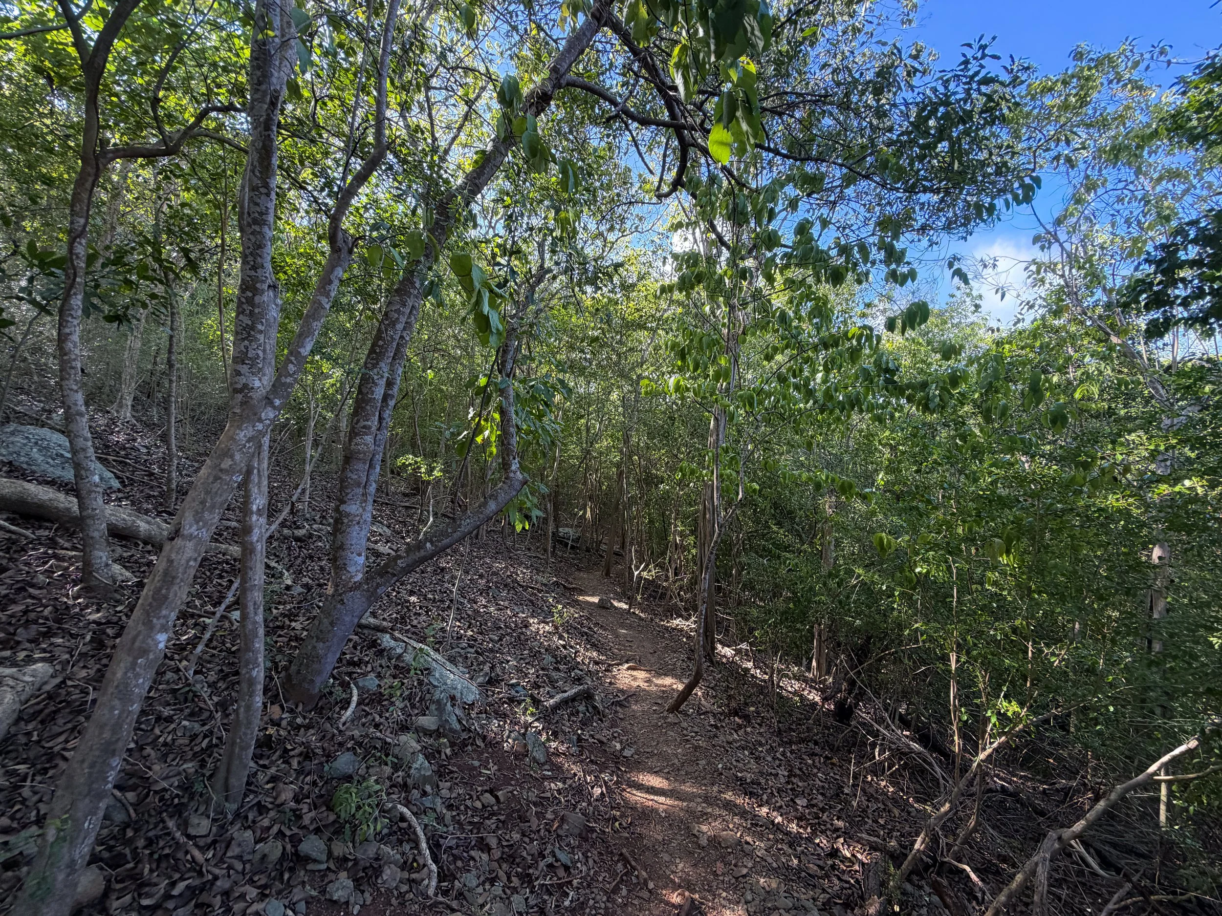 Denis Bay Trail to Oppenheimer Beach Virgin Islands National Park