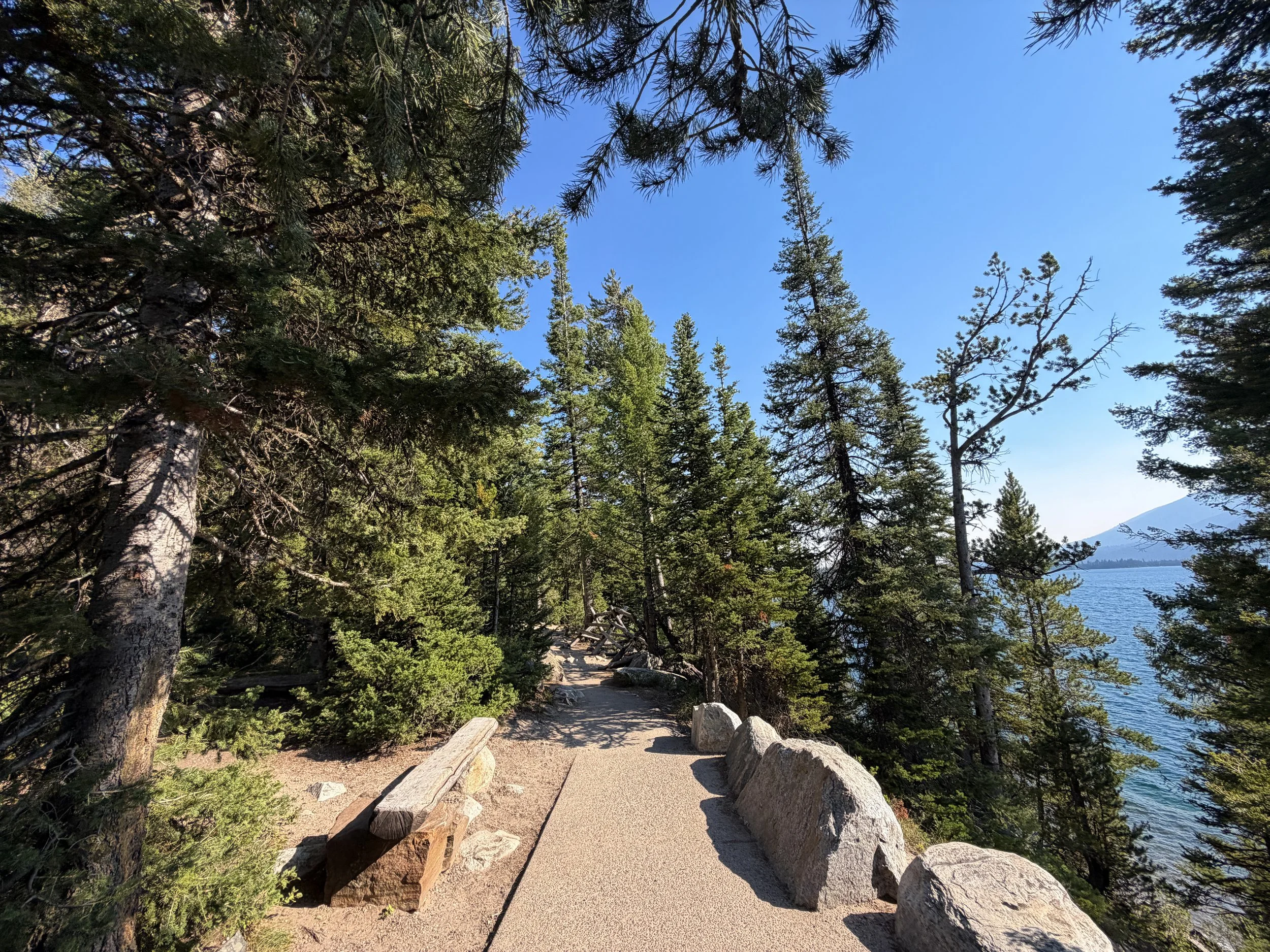 Jenny Lake Overlook Grand Teton National Park Wyoming