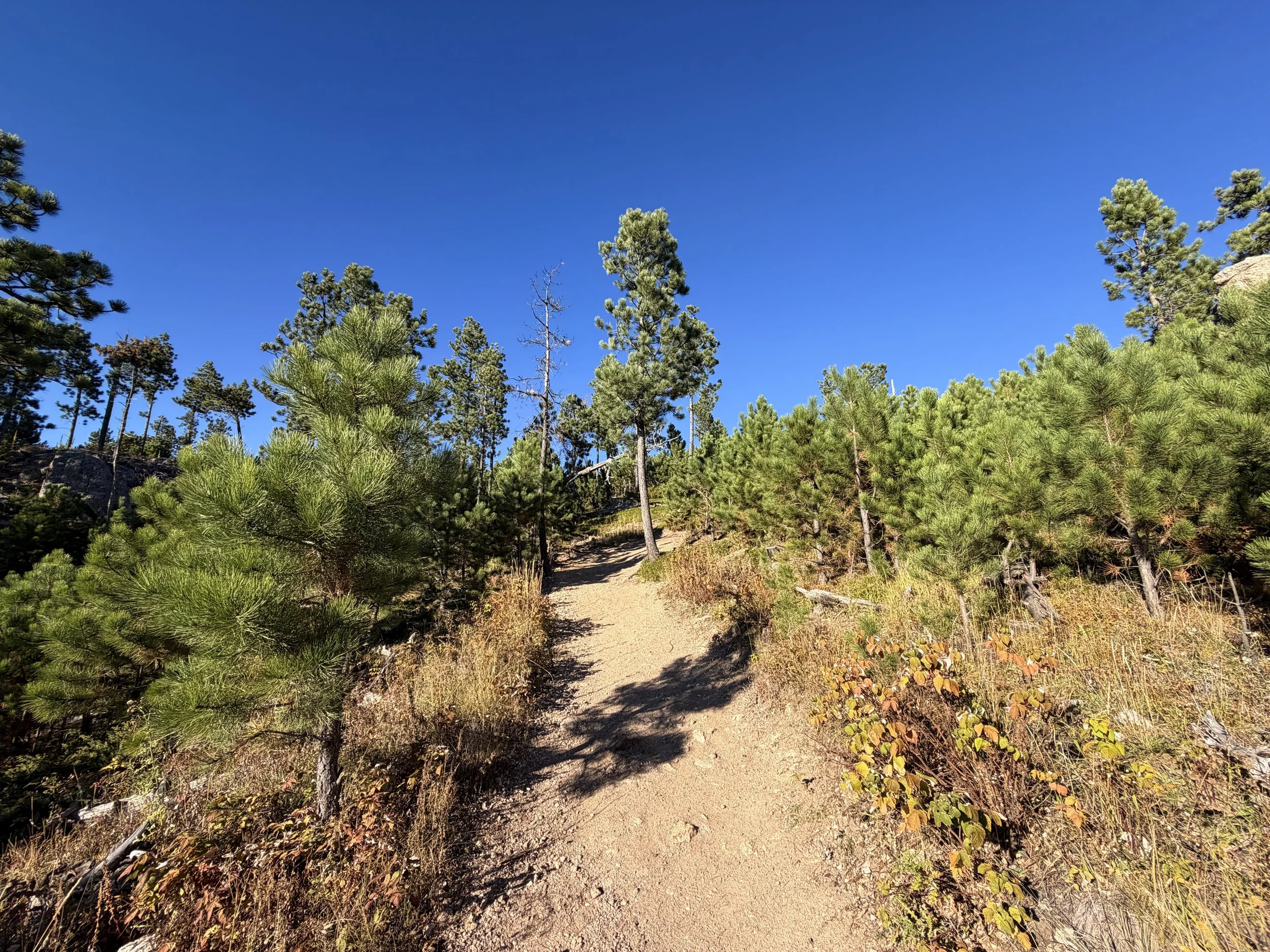 Little Devils Tower Trail Custer State Park Black Hills South Dakota