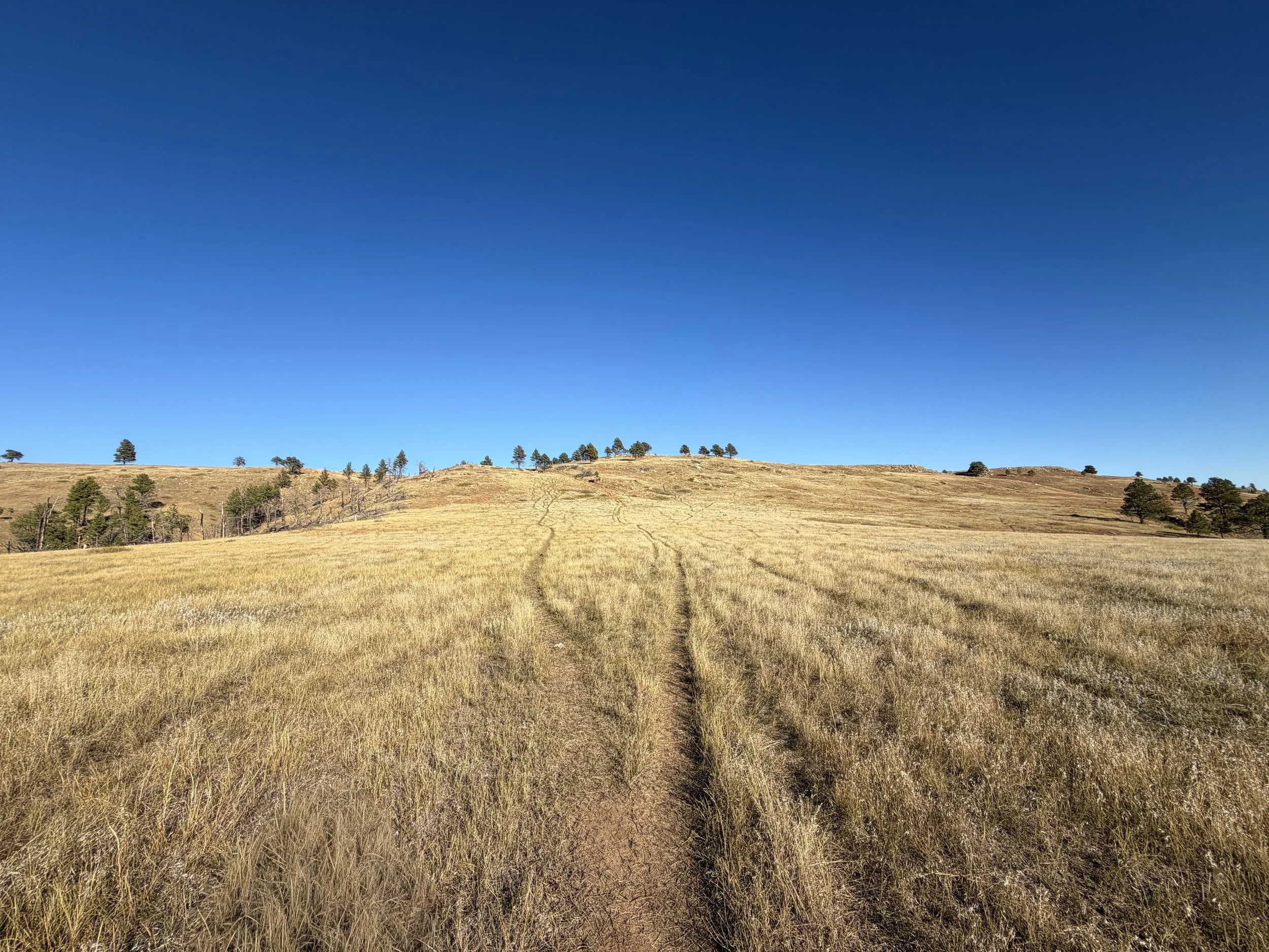 Boland Ridge Hike Wind Cave National Park South Dakota
