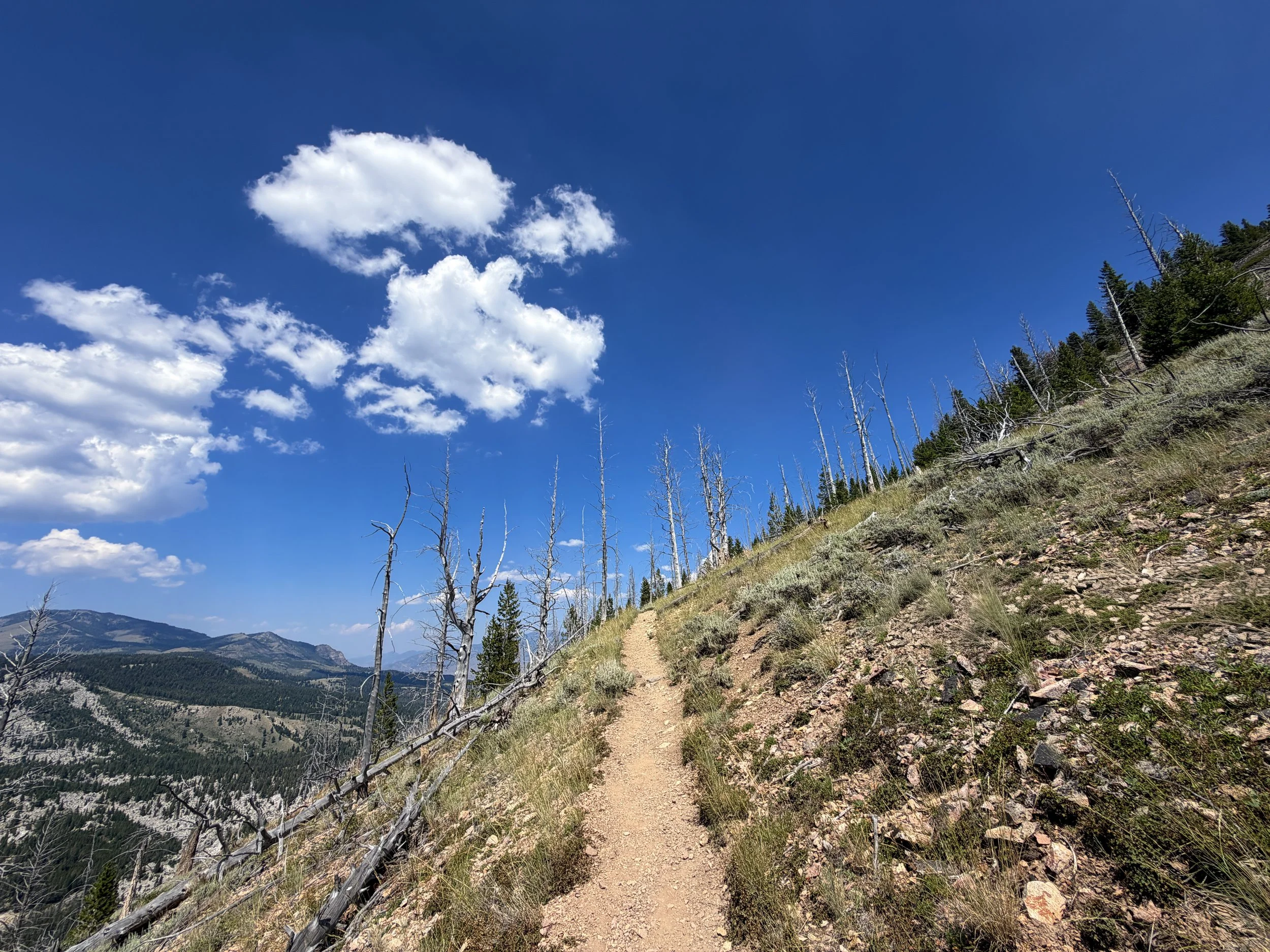 Bunsen Peak Hike Yellowstone National Park Wyoming
