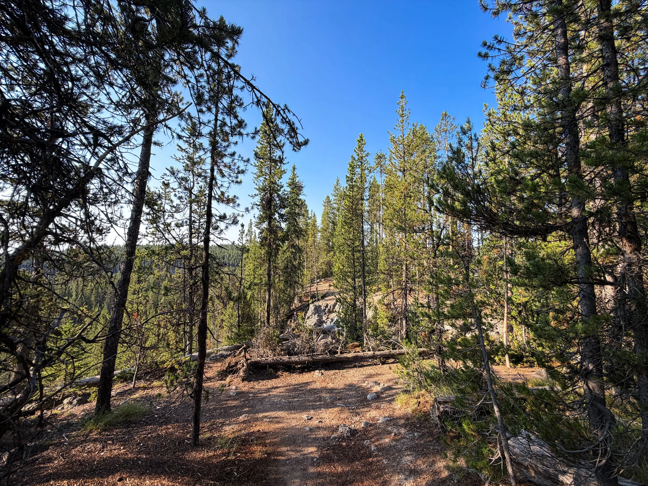 Natural Bridge Trail Yellowstone National Park Wyoming
