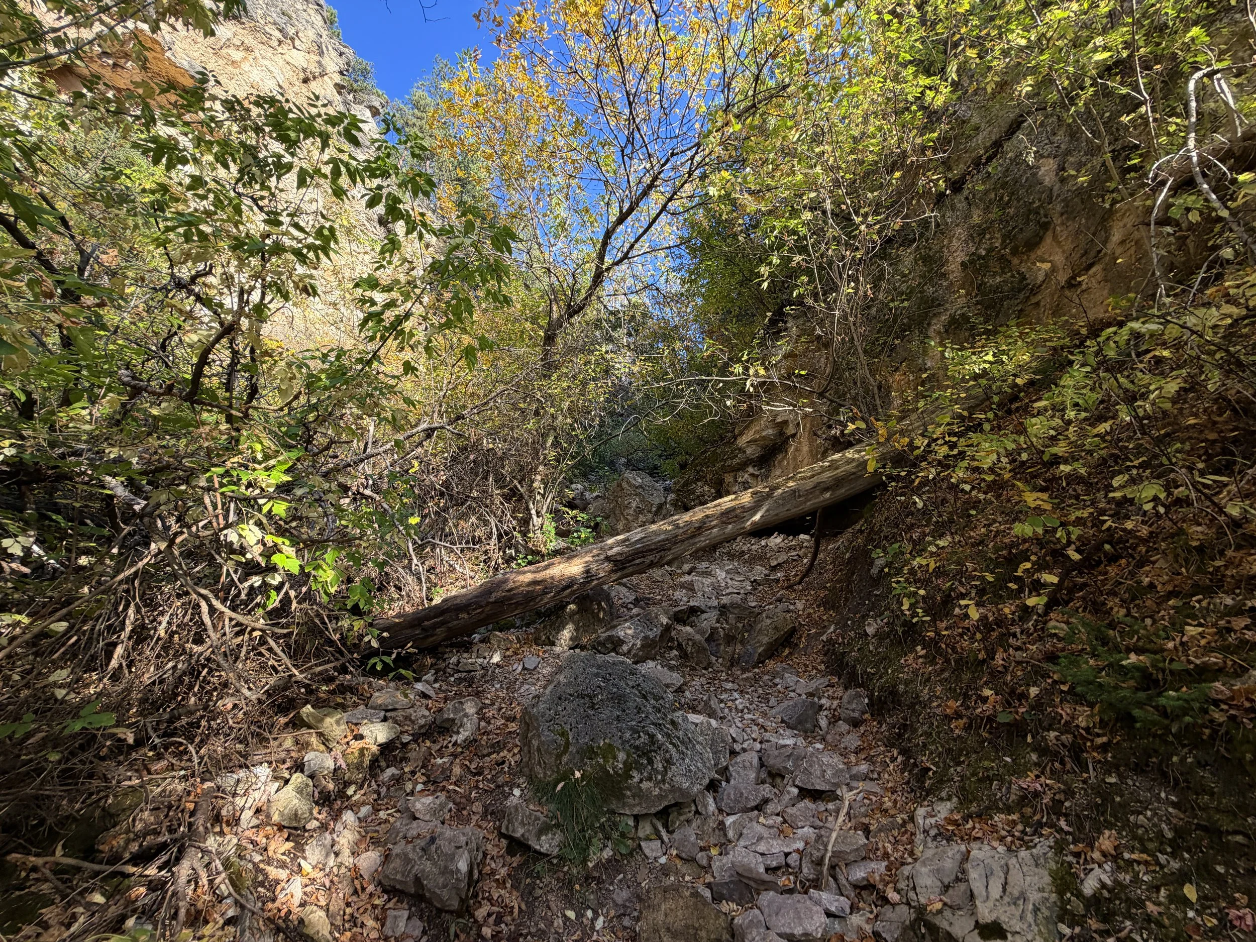 Community Caves Trail Spearfish Canyon Black Hills South Dakota