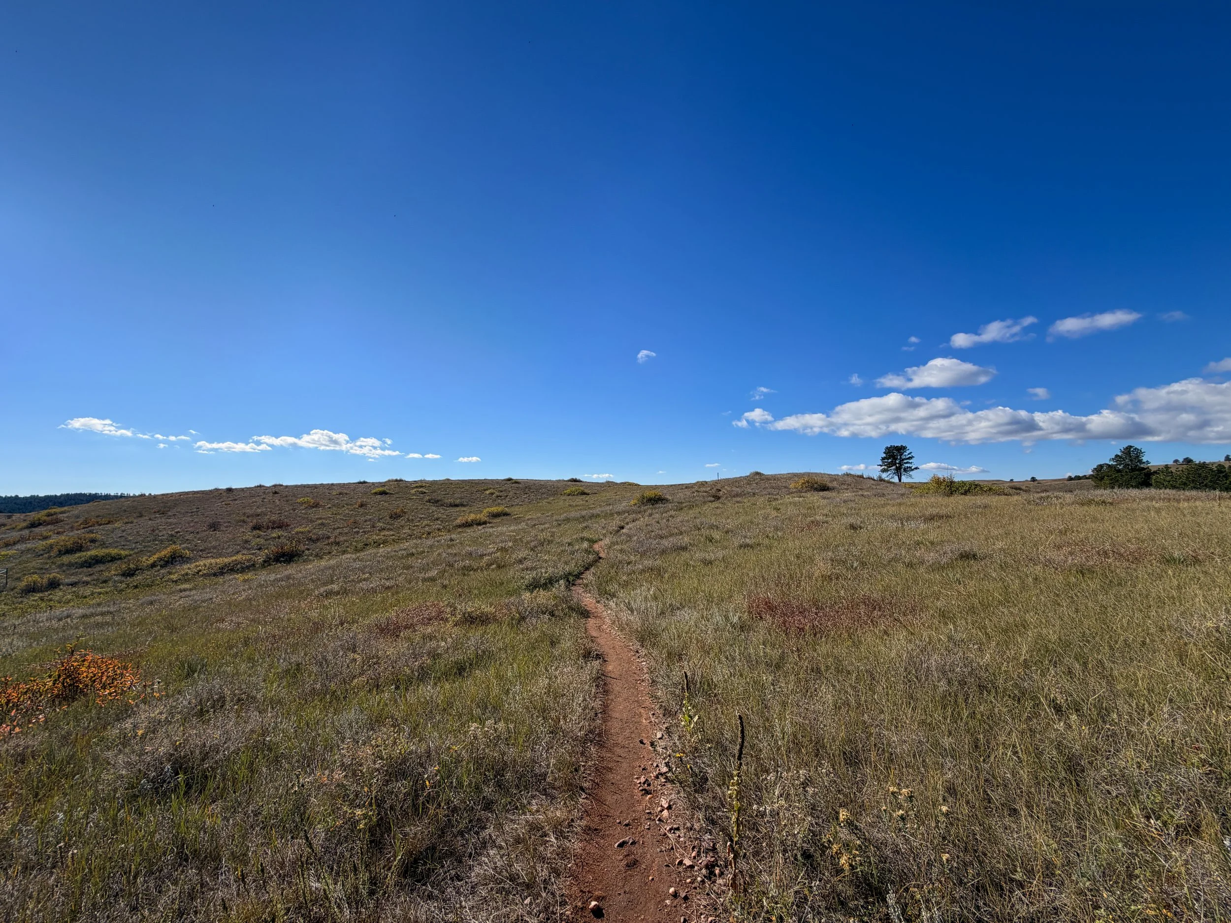 Prairie Vista Nature Trail Wind Cave National Park South Dakota
