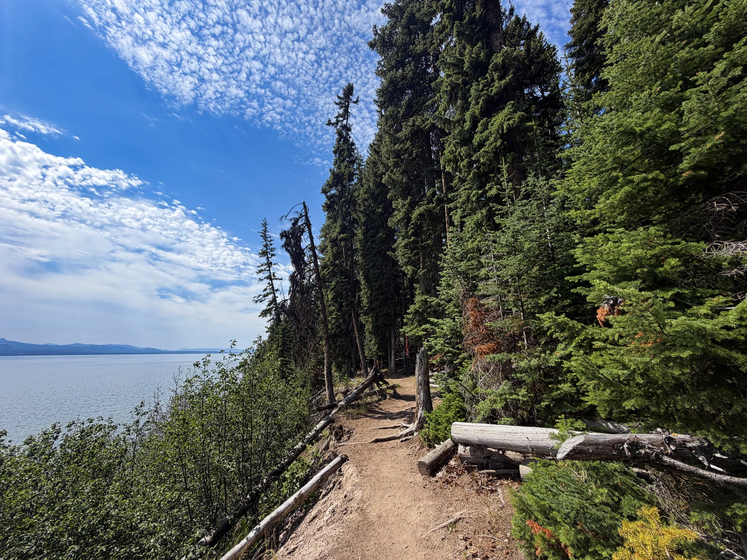 Storm Point Loop Trail Yellowstone National Park Wyoming