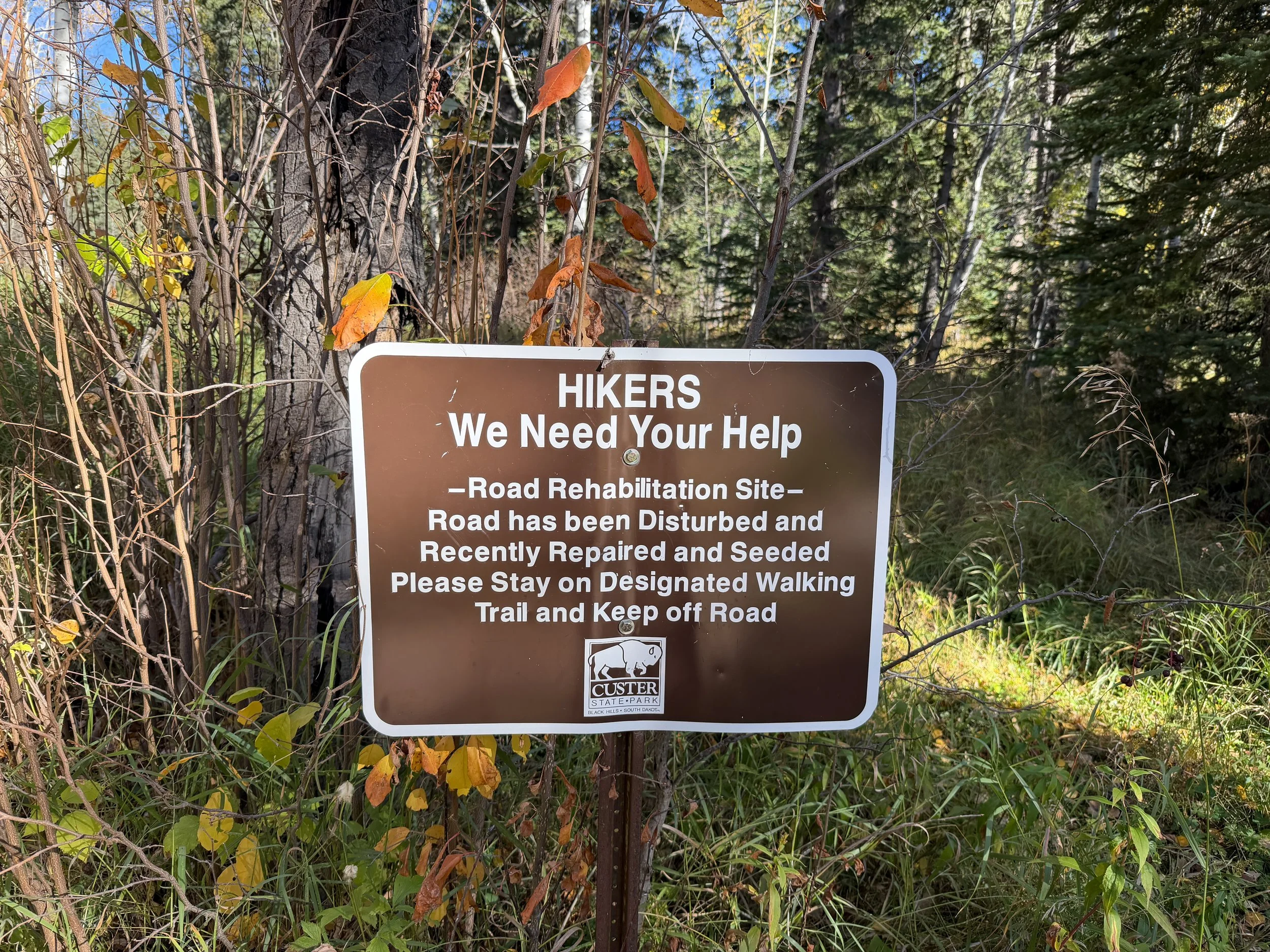 Little Devils Tower Trail Custer State Park Black Hills South Dakota