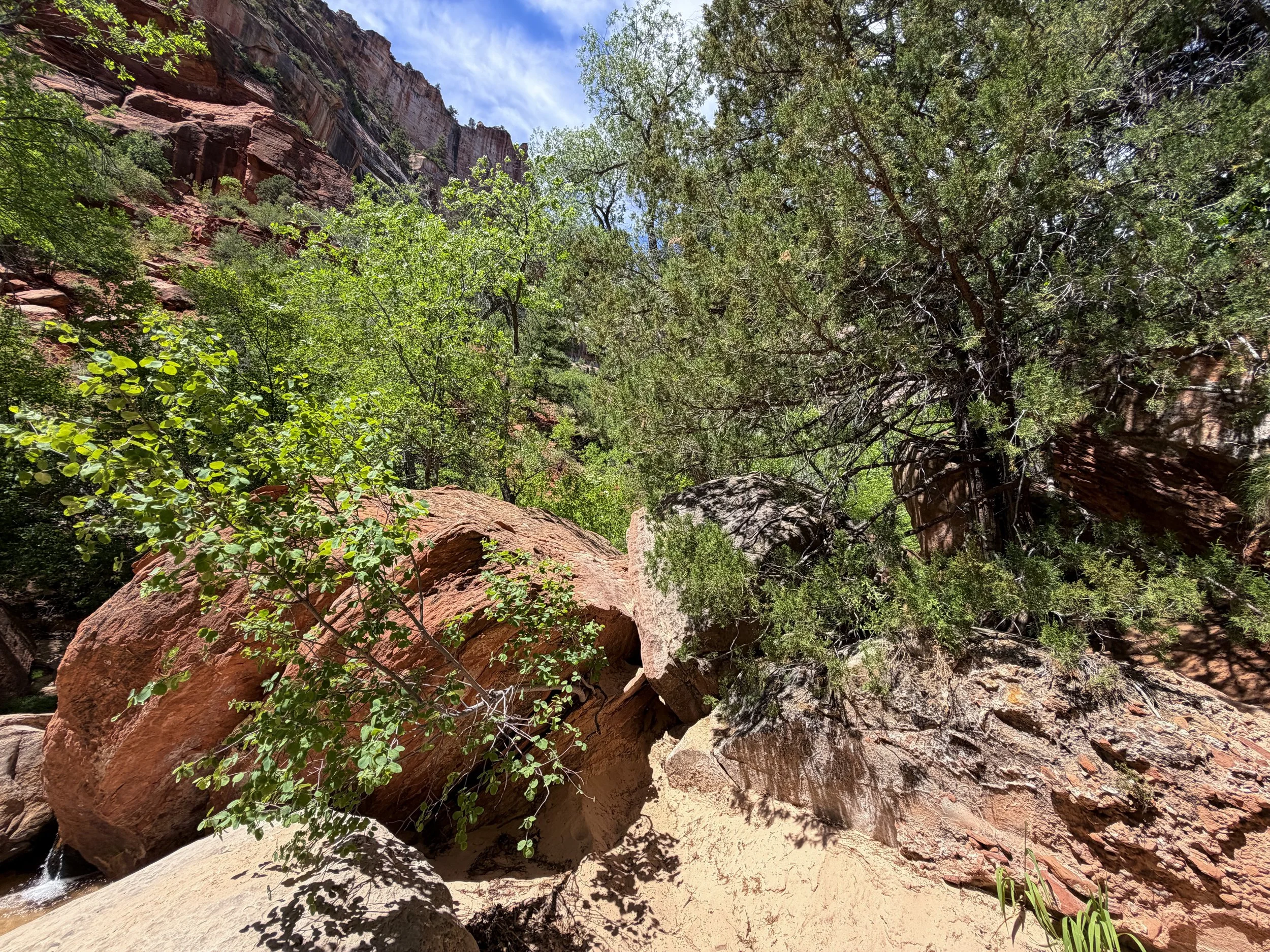 Left Fork Trail to the Subway Zion National Park Utah