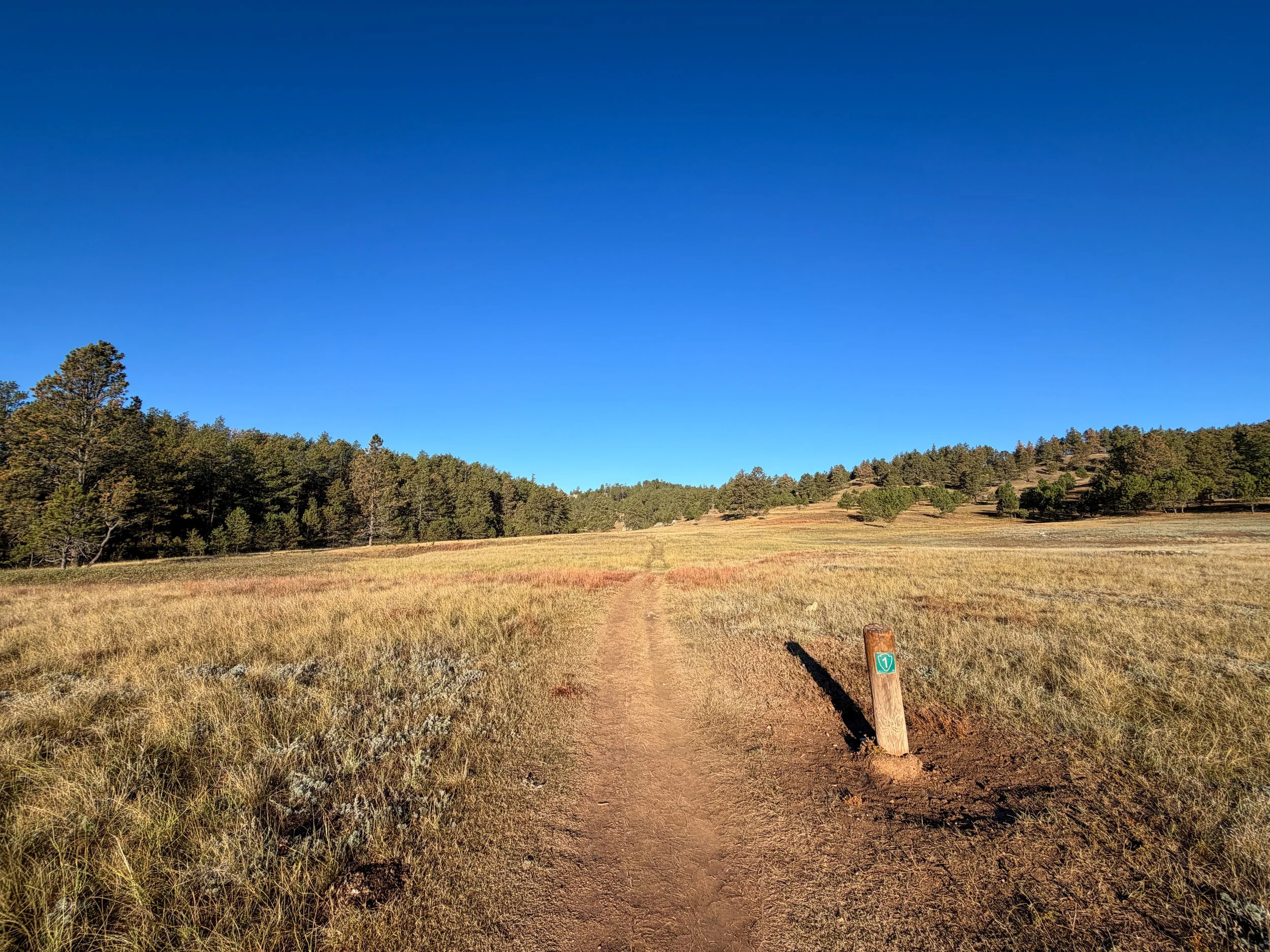 Cold Brook Canyon Hike Wind Cave National Park South Dakota