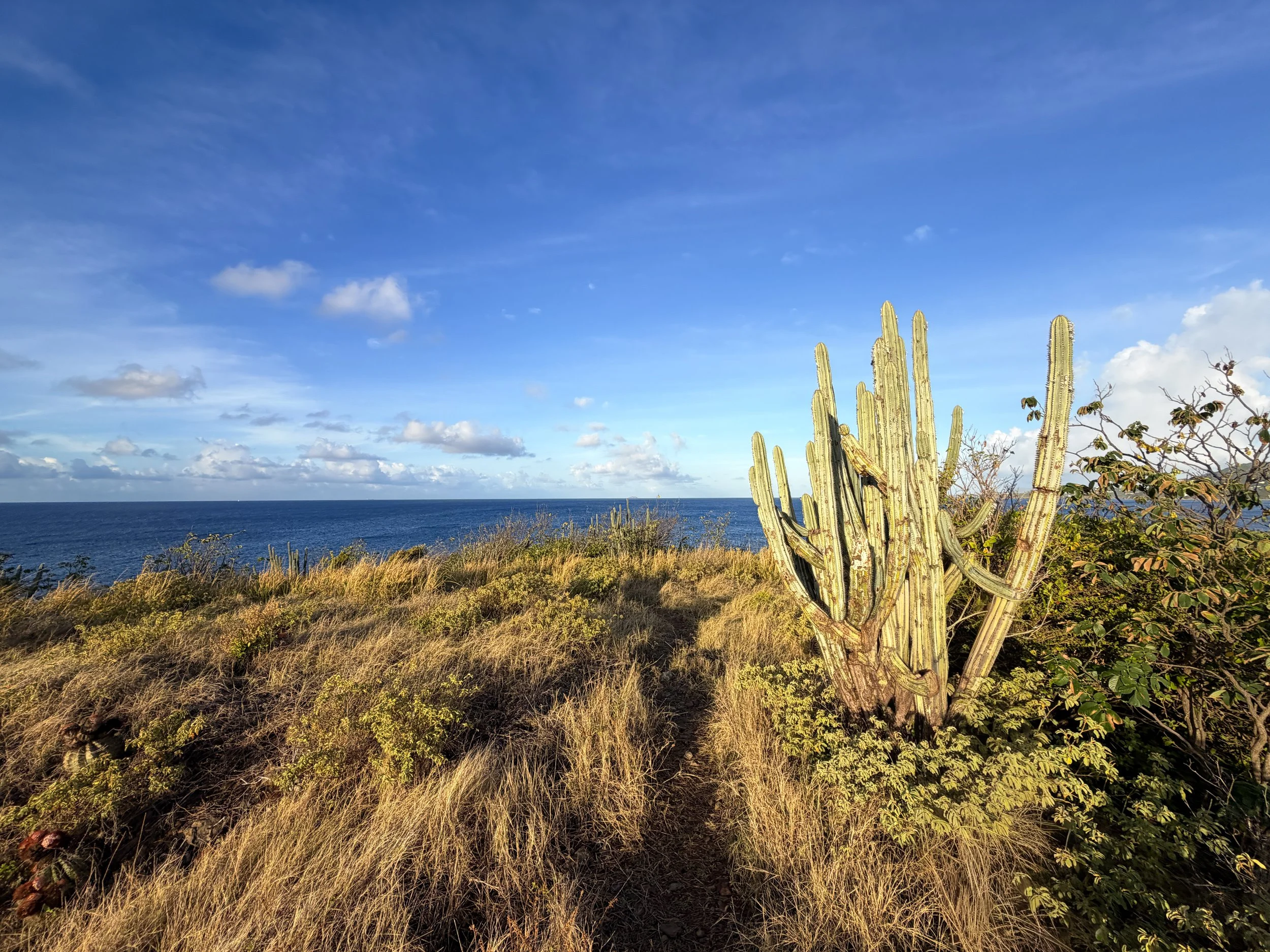 Cabritte Horn Trail Virgin Islands National Park