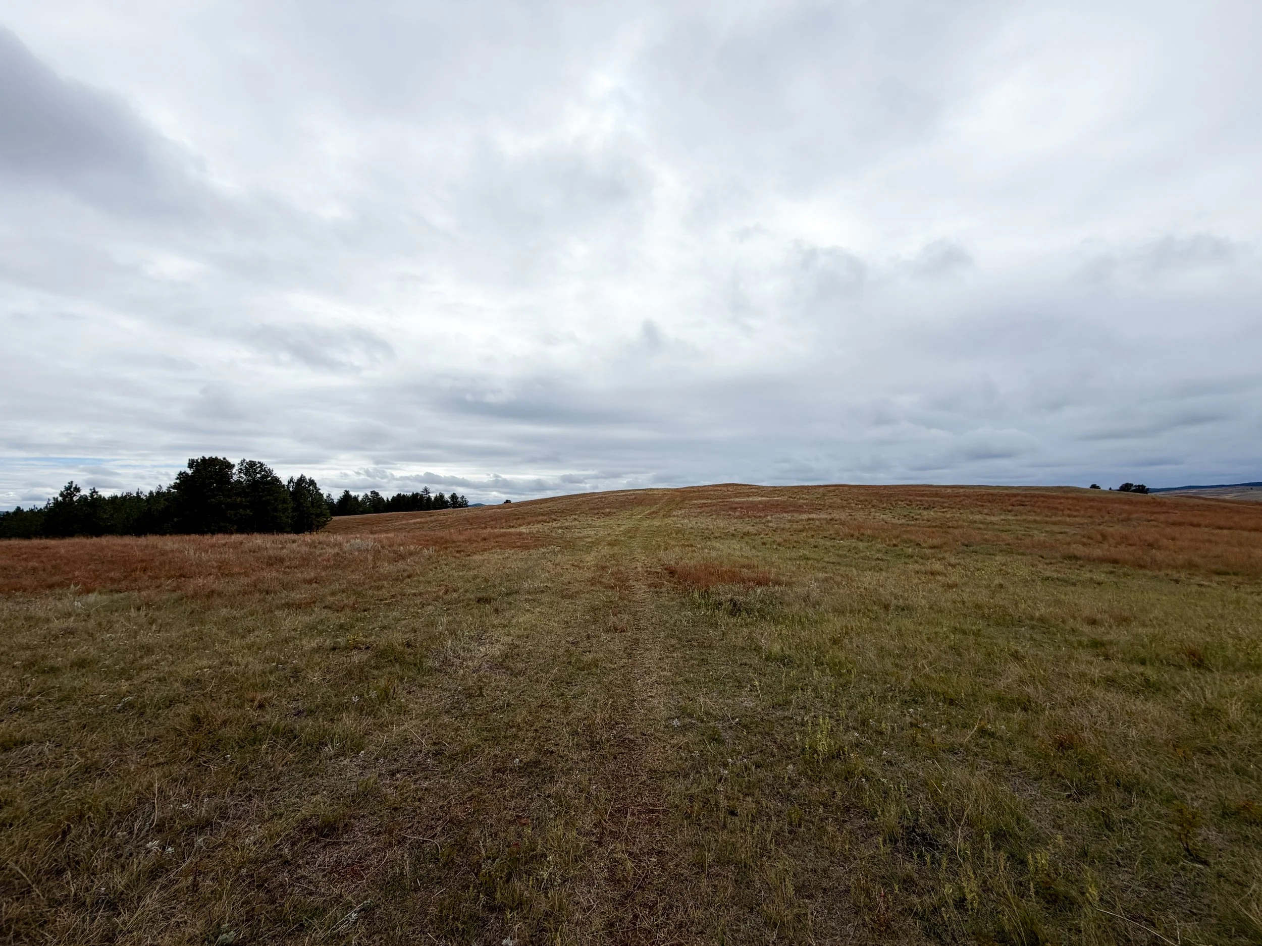 Highland Creek Trail Wind Cave National Park South Dakota
