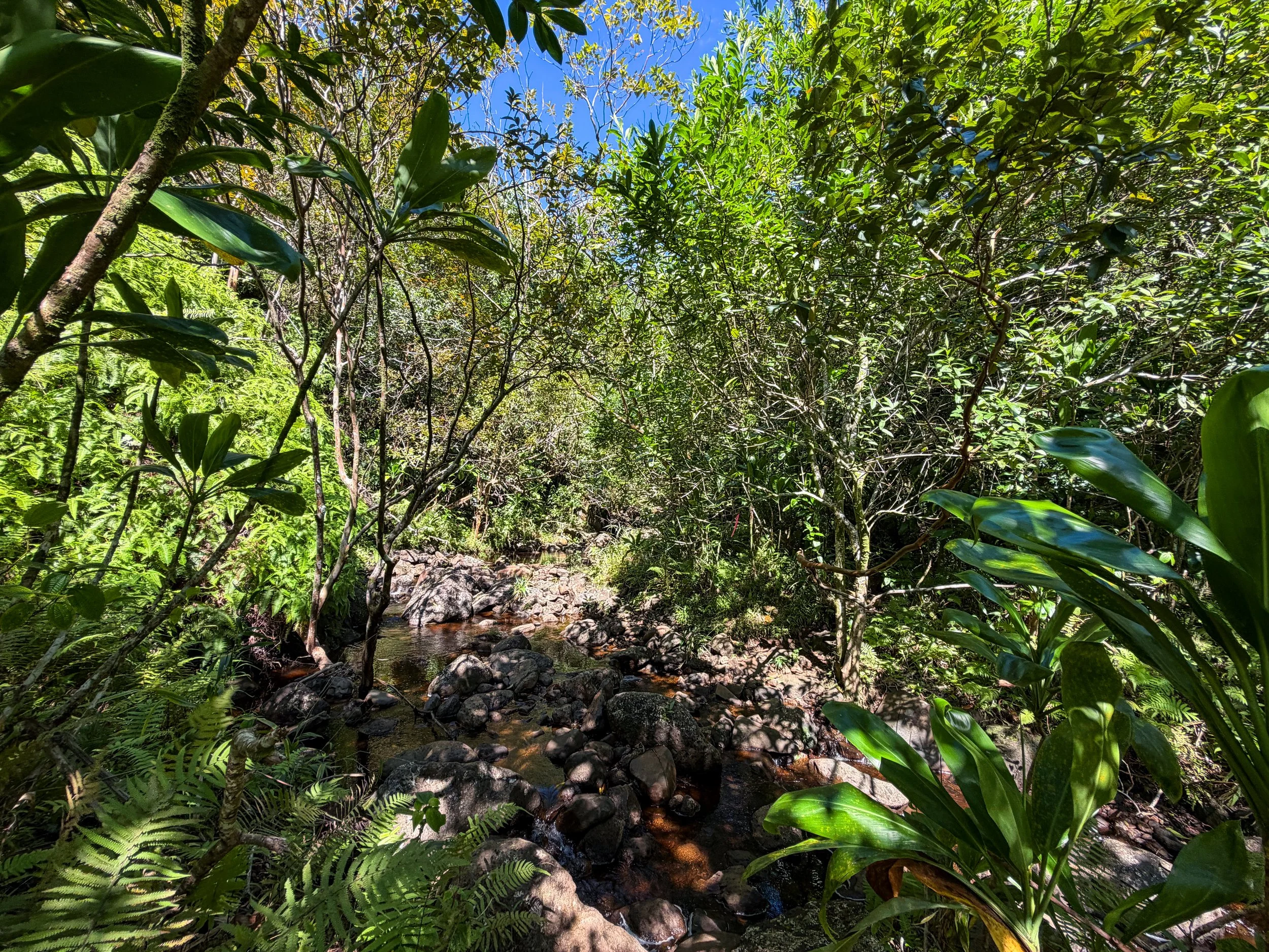 Kaau Crater Trail Oahu Hawaii