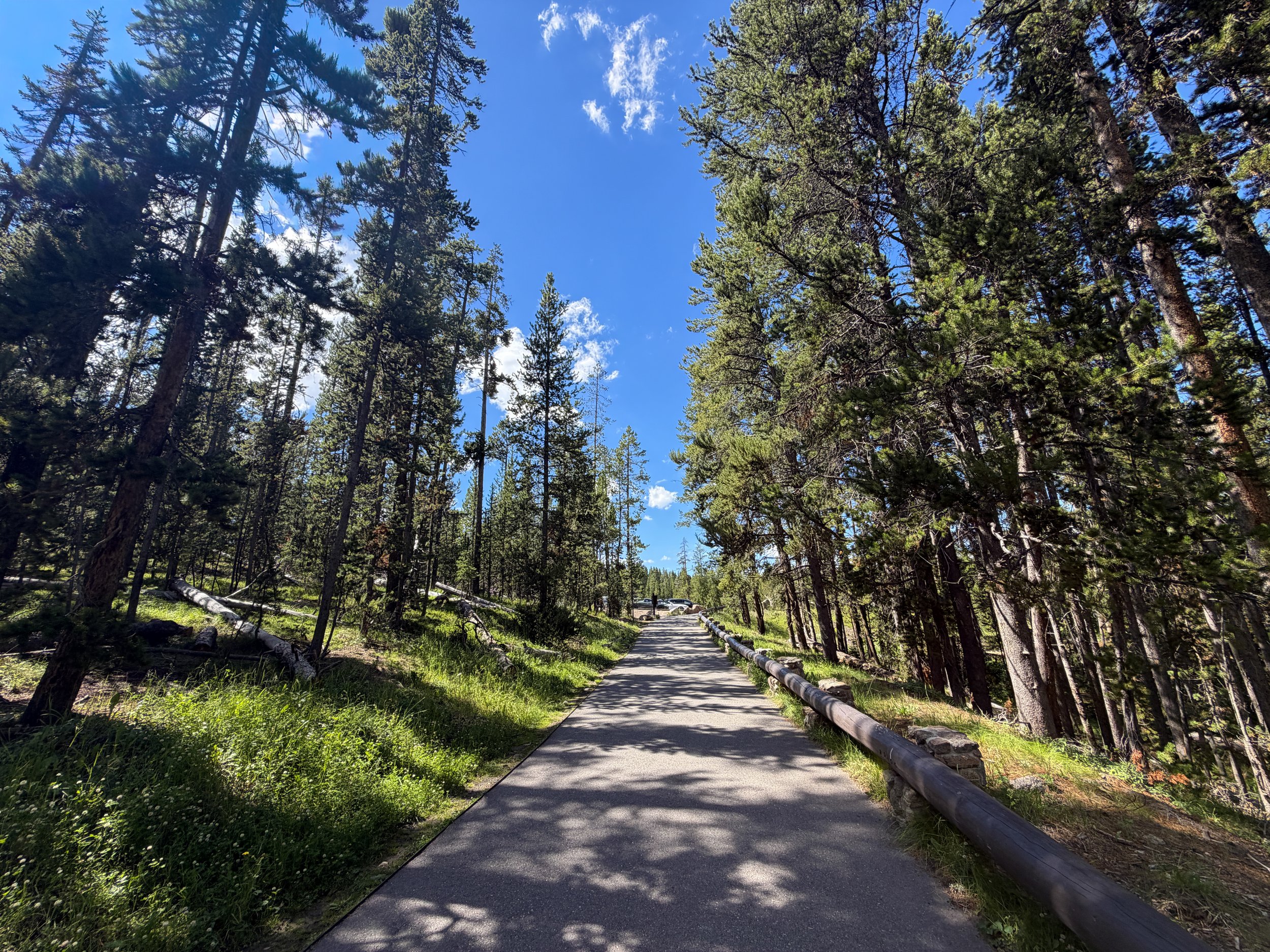 North Rim Trail Yellowstone National Park Wyoming
