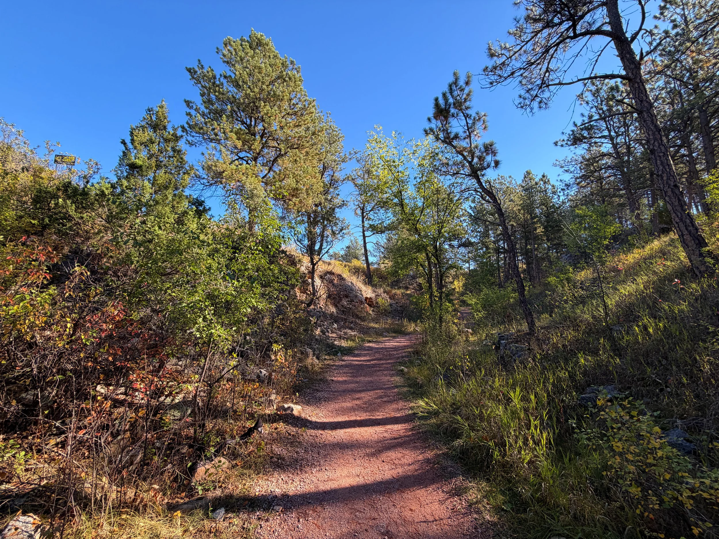 Prairie Vista Trail Wind Cave National Park South Dakota