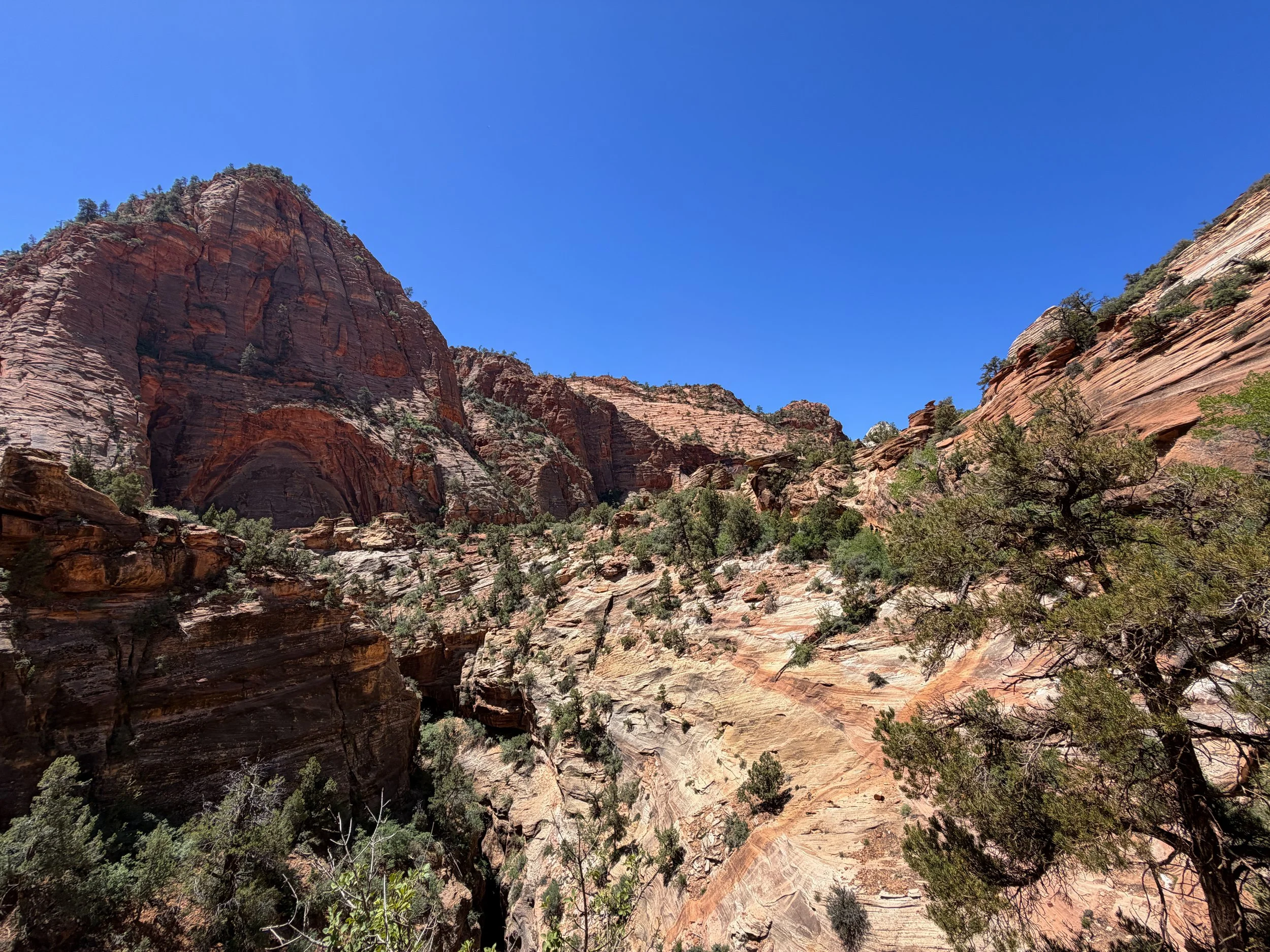 Zion Canyon Overlook Trail Zion National Park Utah