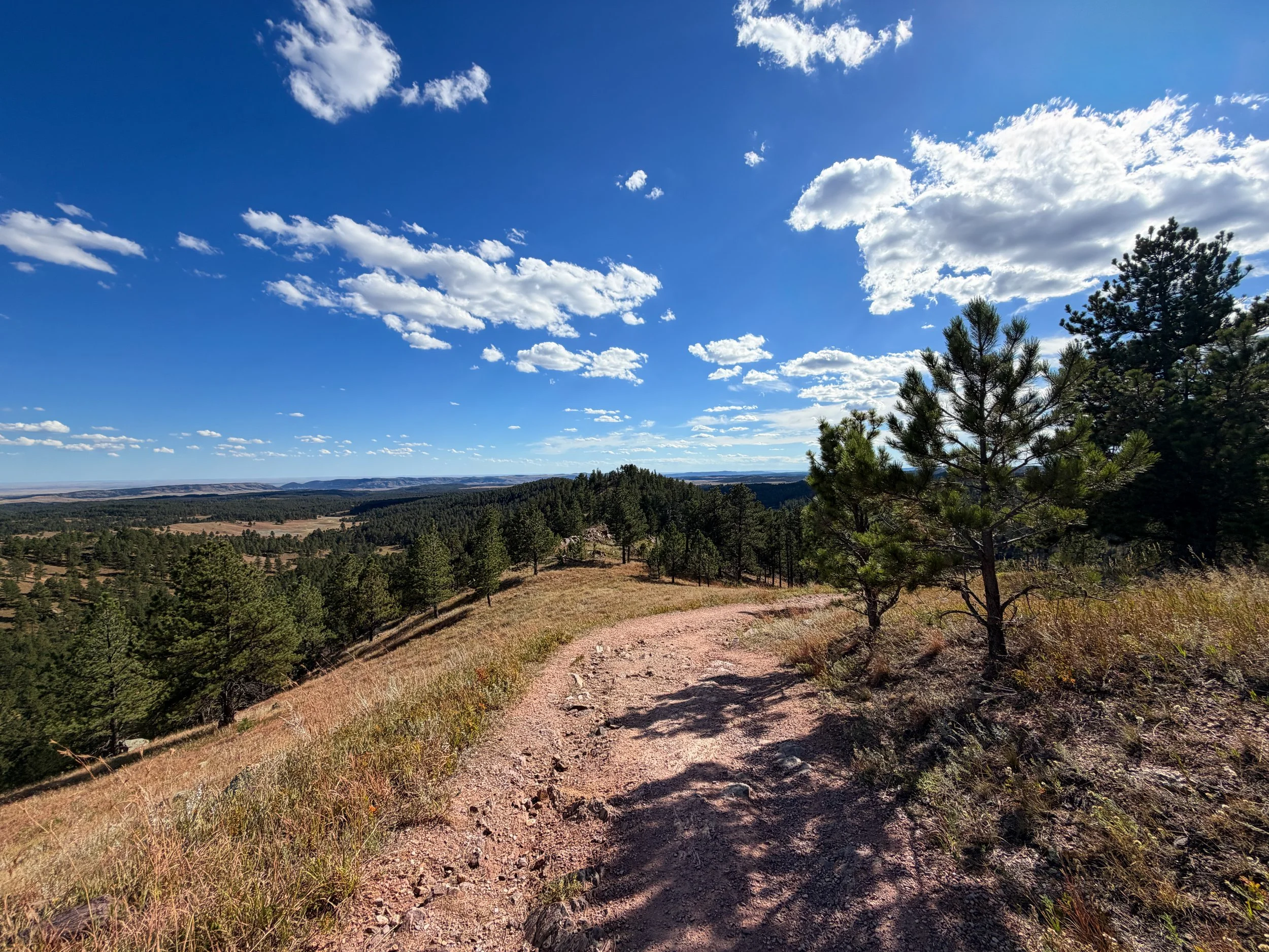 Rankin Ridge Trail Wind Cave National Park South Dakota