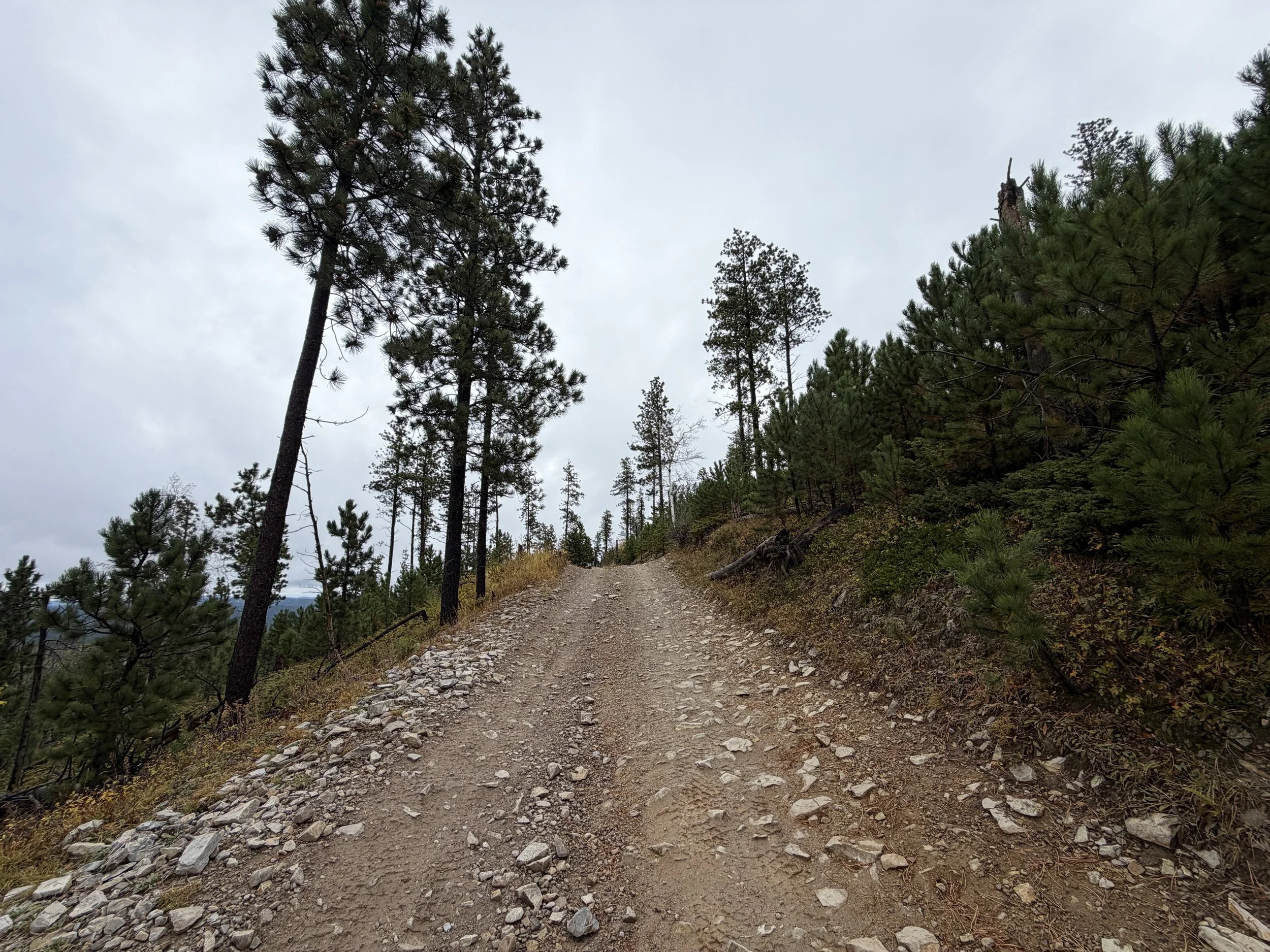 Custer Peak Hike Black Hills South Dakota