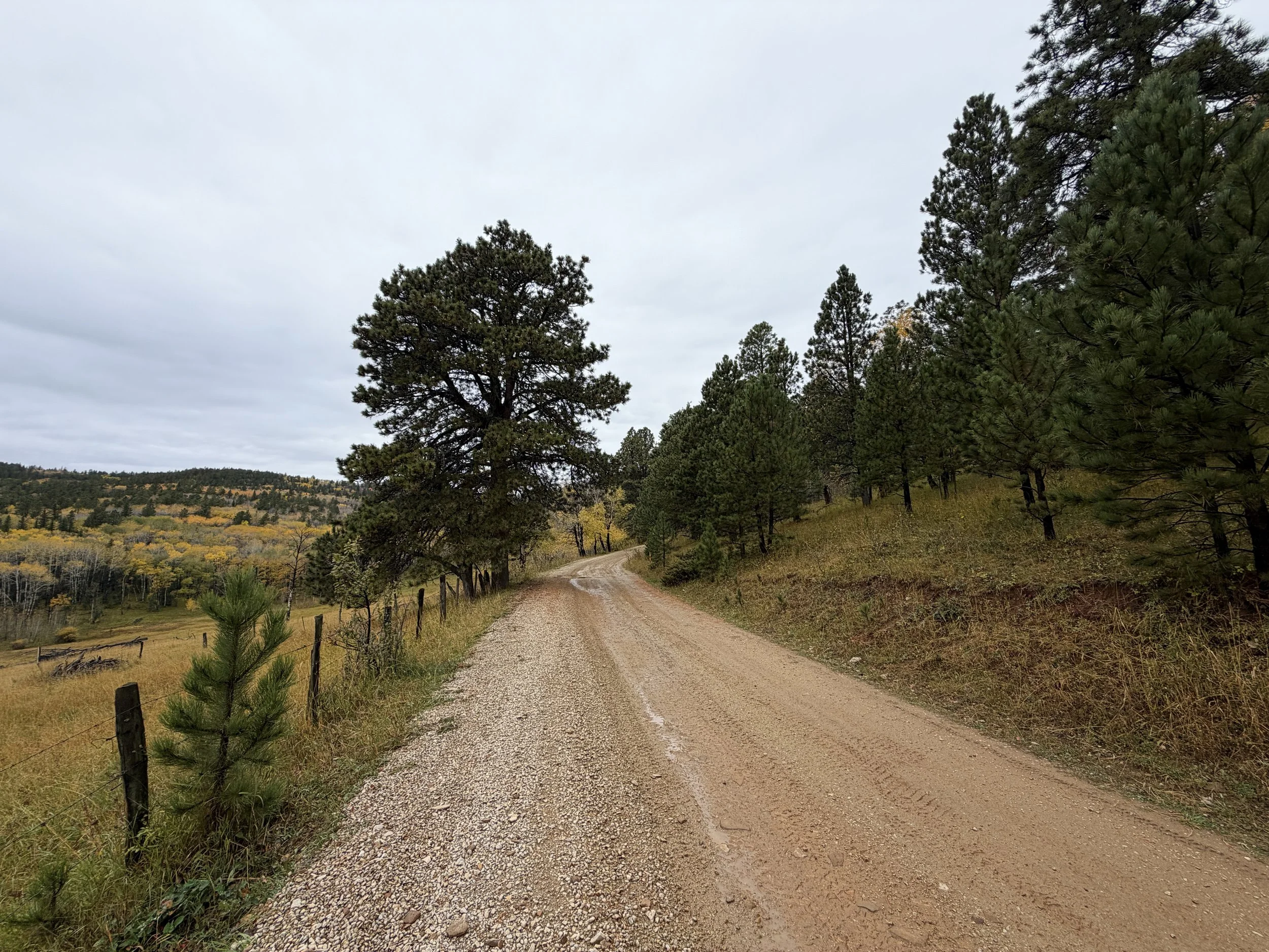 Custer Peak Trail Black Hills South Dakota