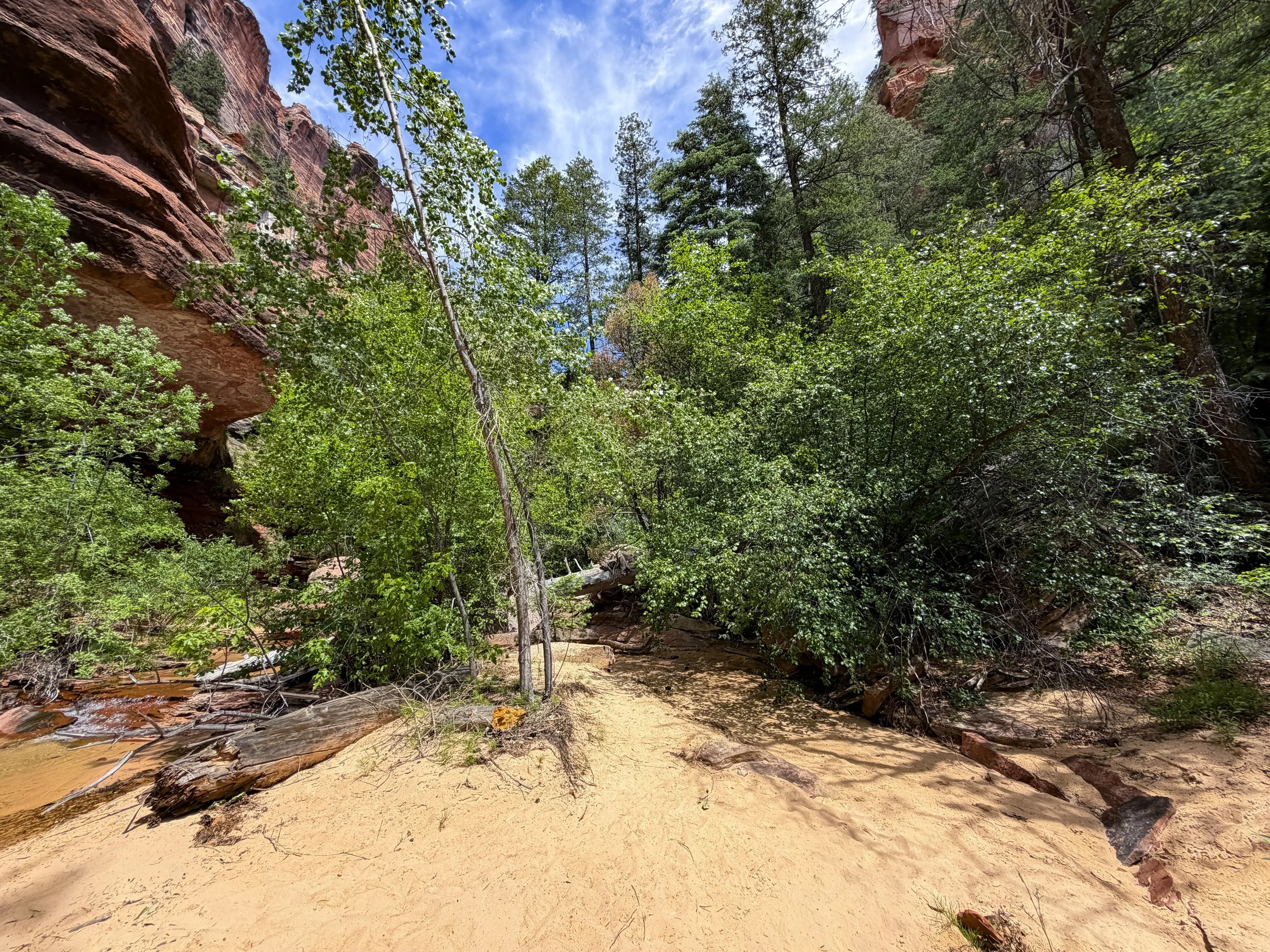 Subway Trail Zion National Park Utah