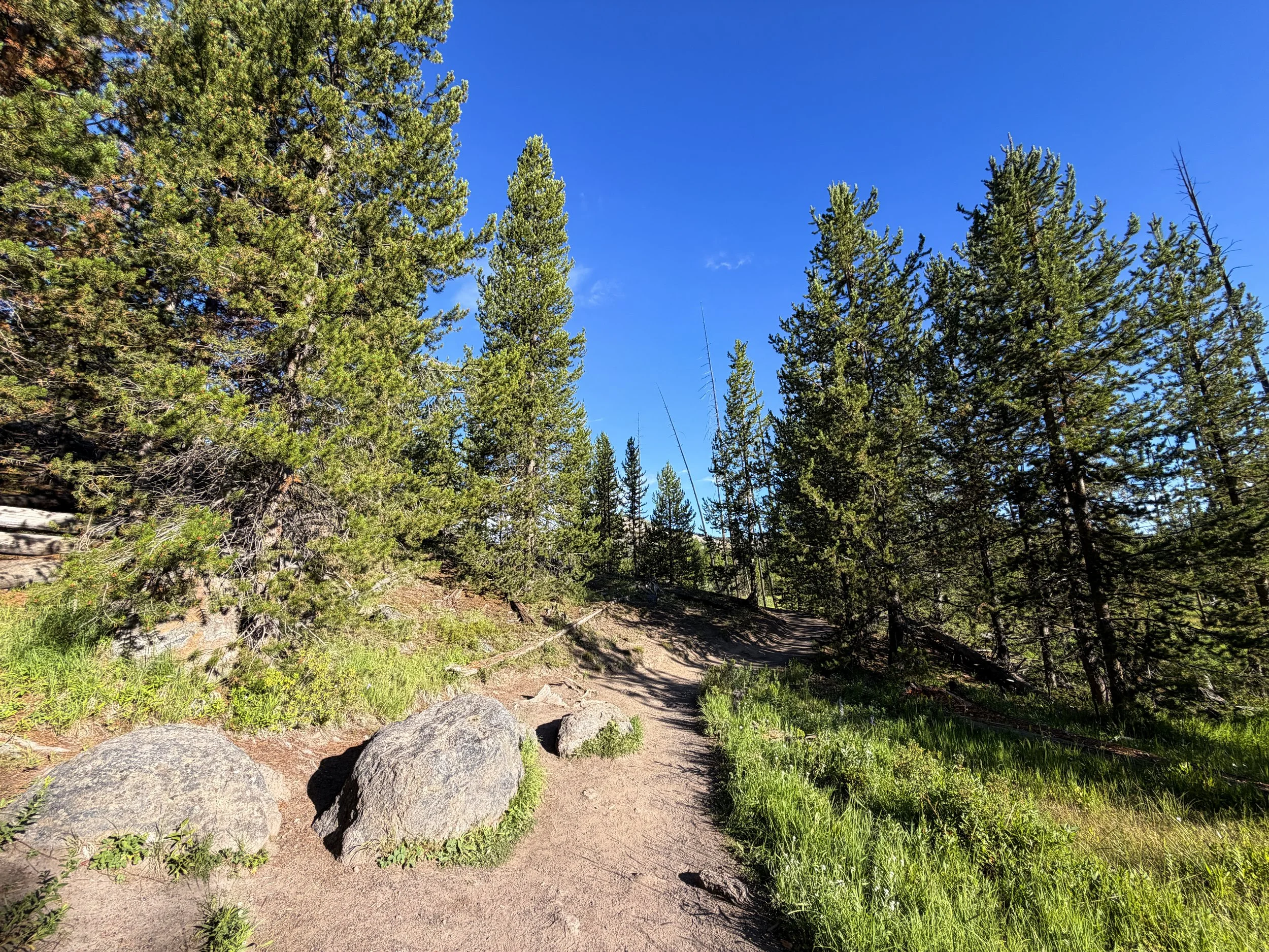 Fairy Falls Trail Yellowstone National Park Wyoming