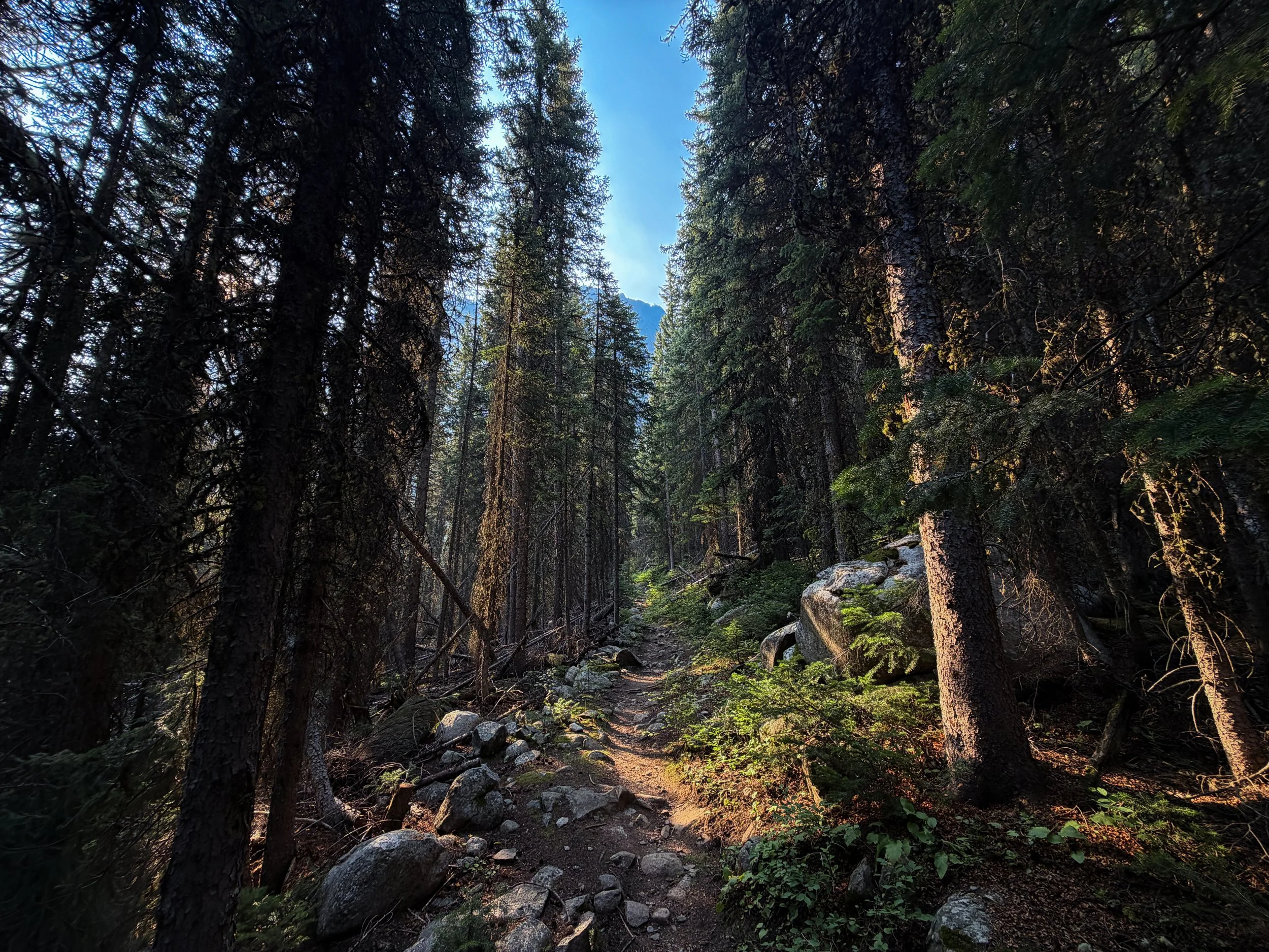 Beaten Path Trail Beartooth Mountains Montana