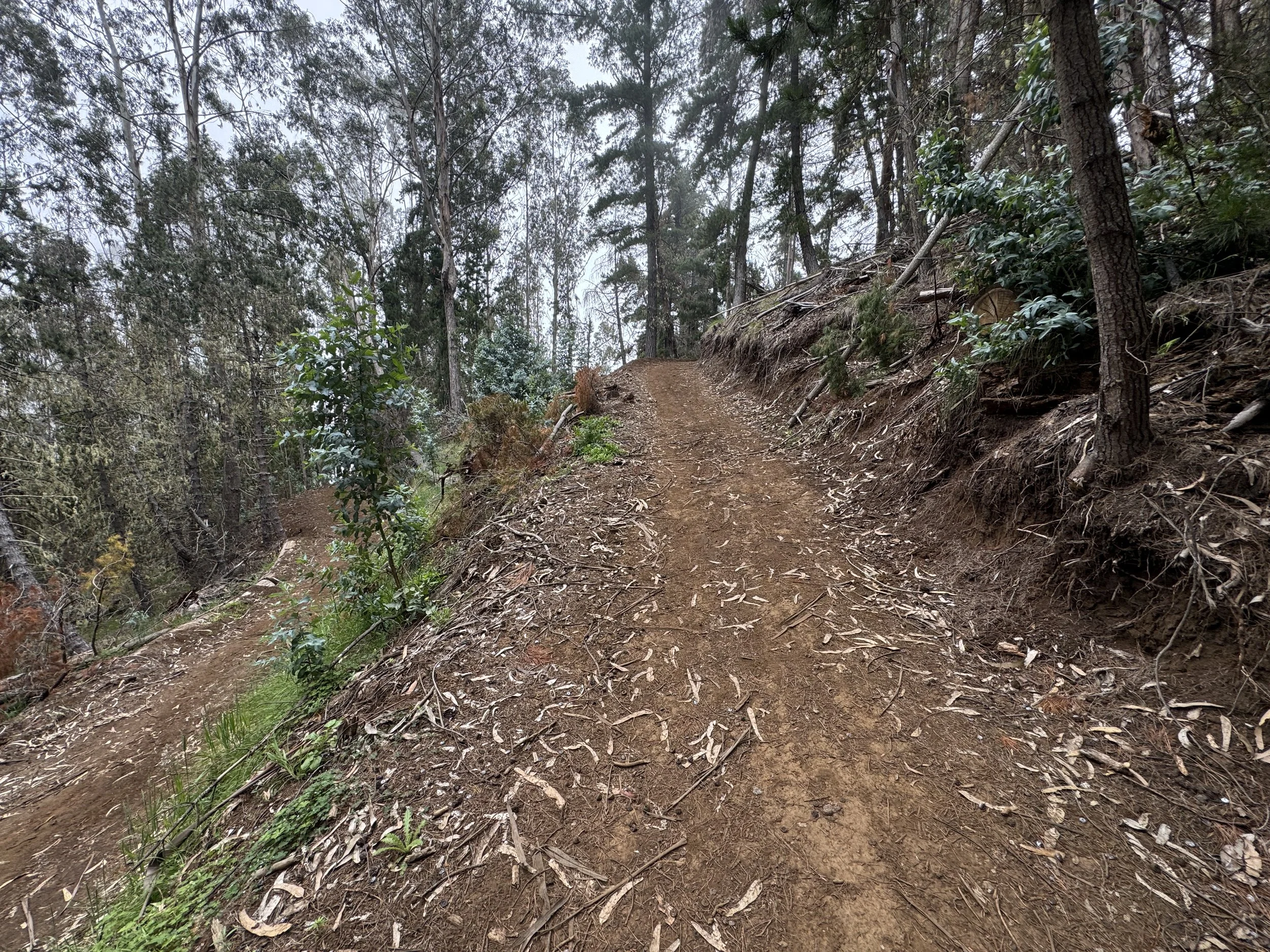 Hiking the Waiakoa Loop Trail on Maui, Hawaiʻi — noahawaii