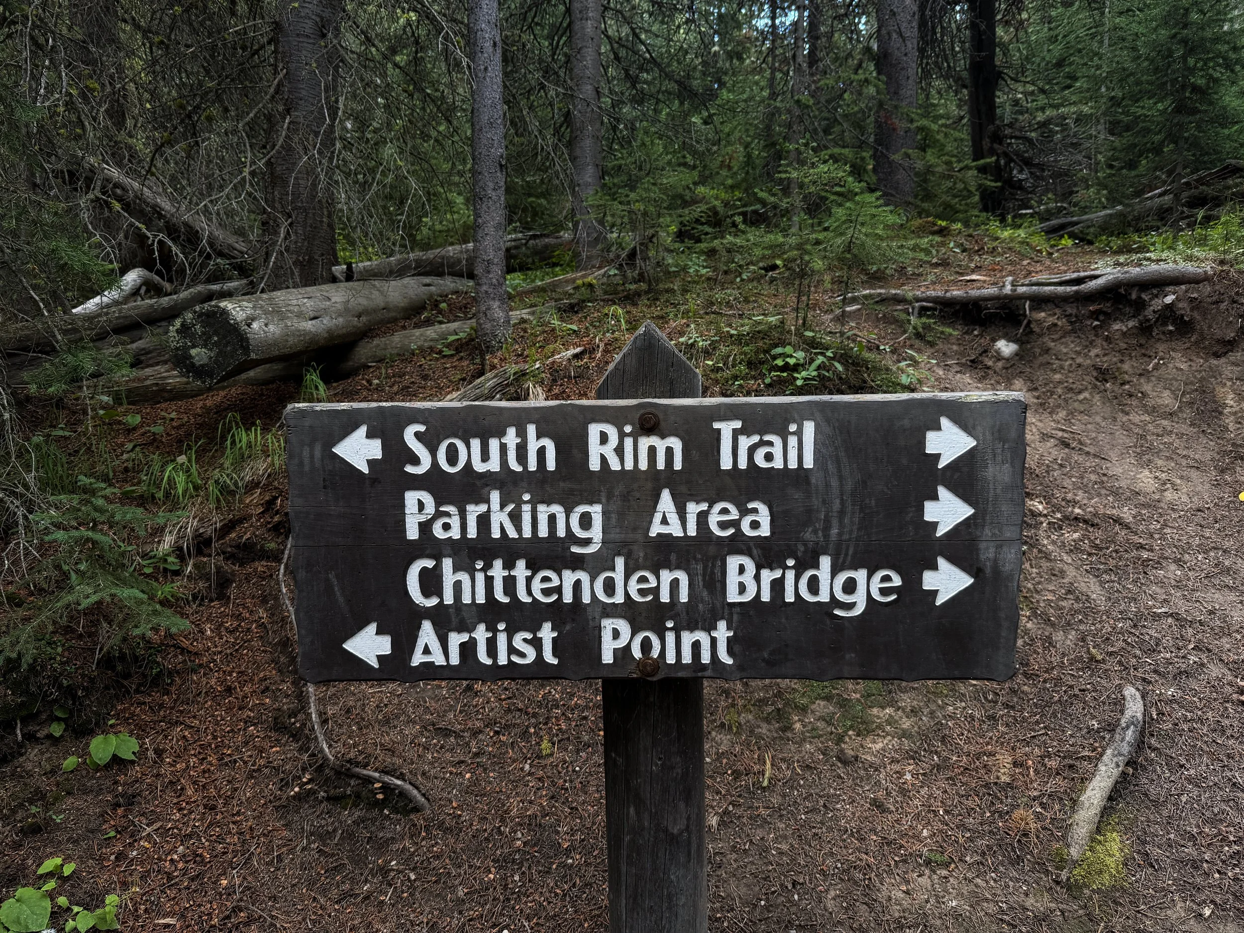 South Rim Trail Yellowstone National Park Wyoming