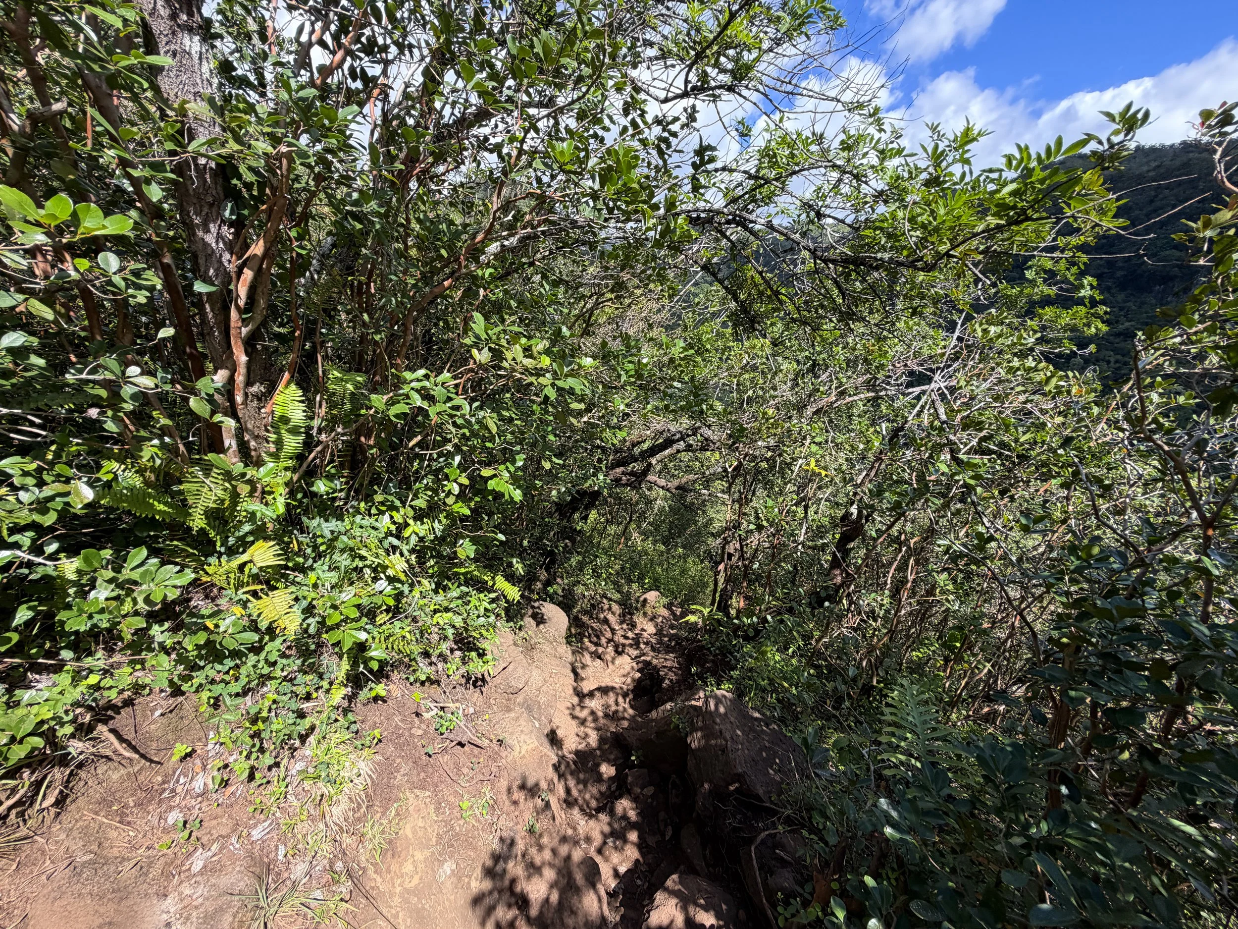Waimano Pools Hike Oahu Hawaii