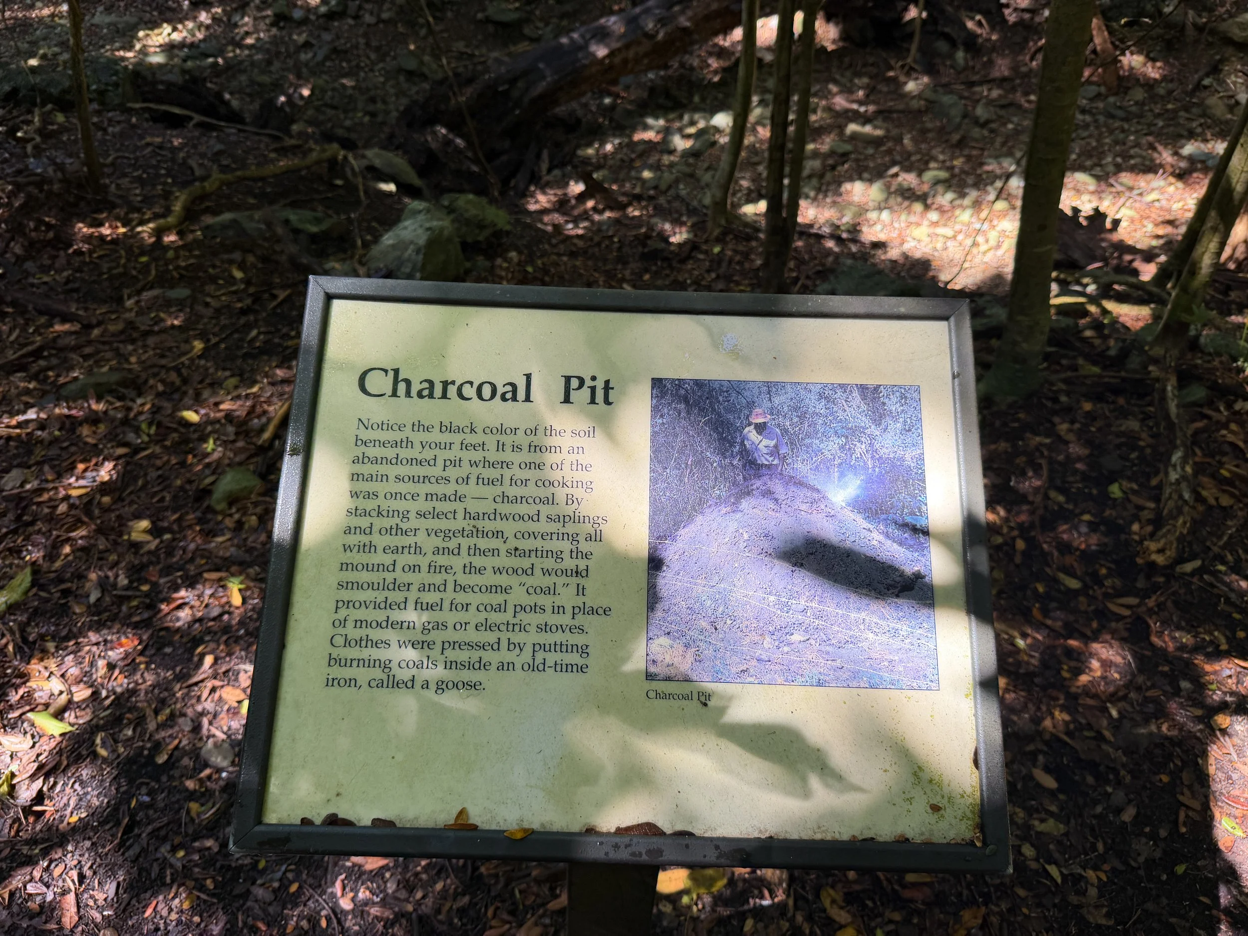 Cinnamon Bay Loop Trail Virgin Islands National Park