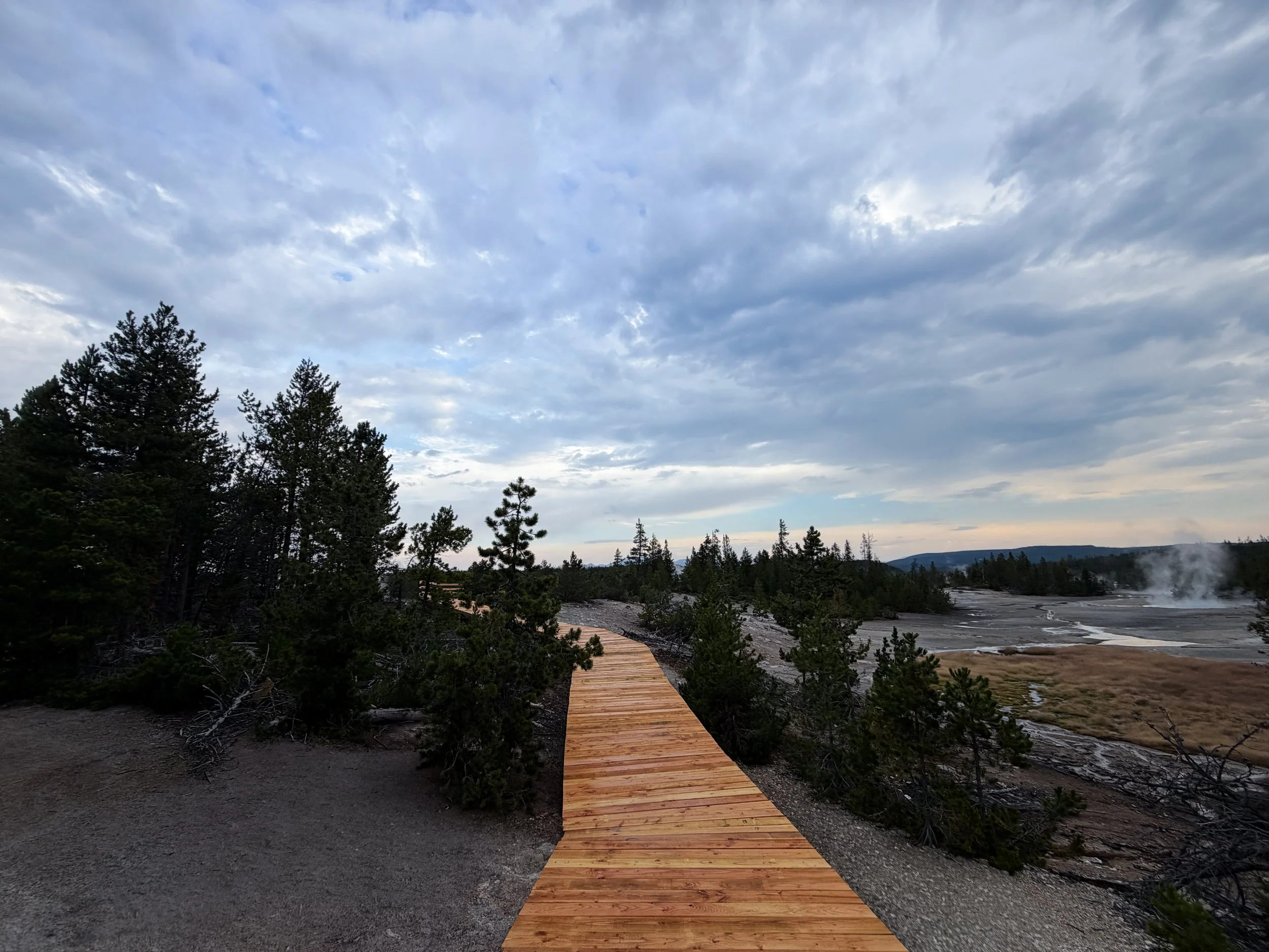 Norris Geyser Basin Boardwalk Trail Yellowstone National Park Wyoming