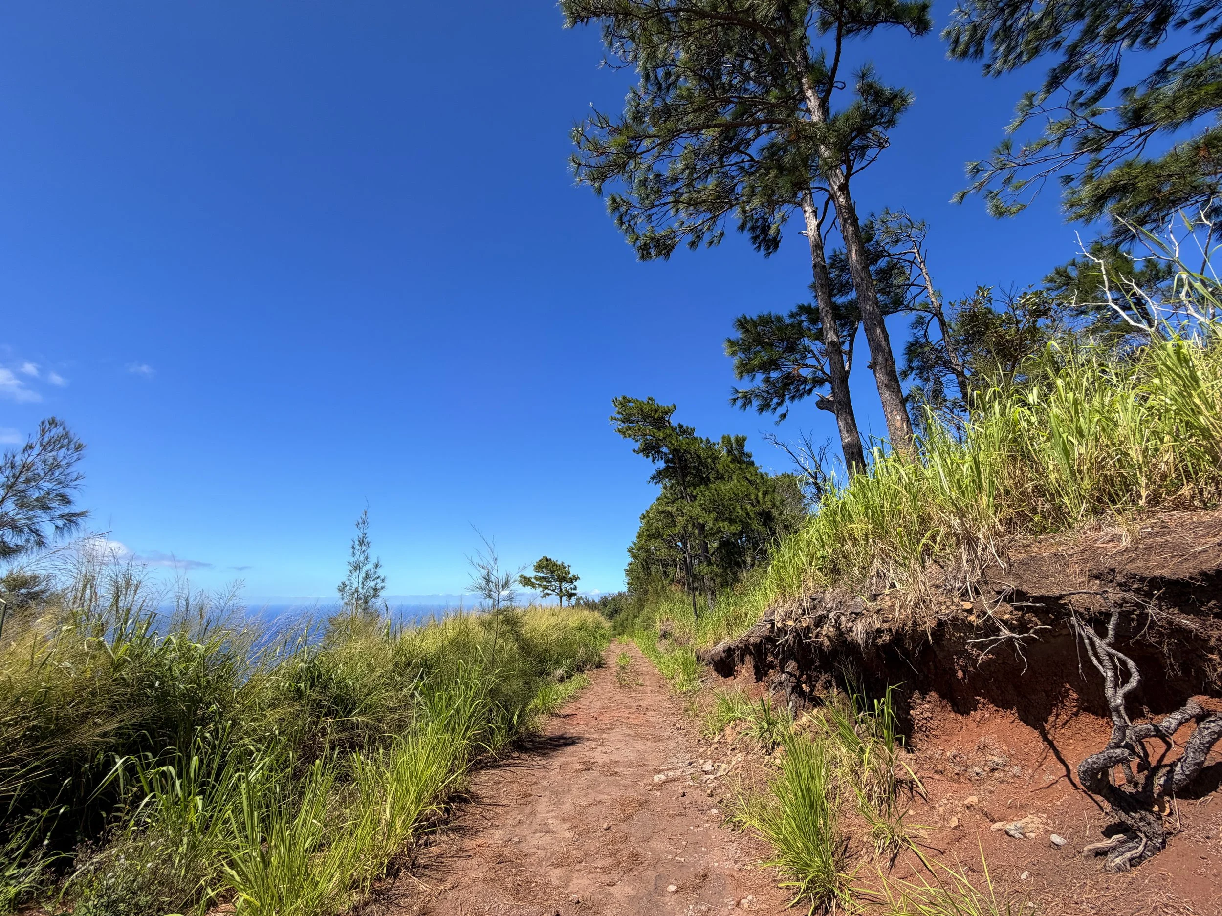 Kuaokala Trail Oahu Hawaii