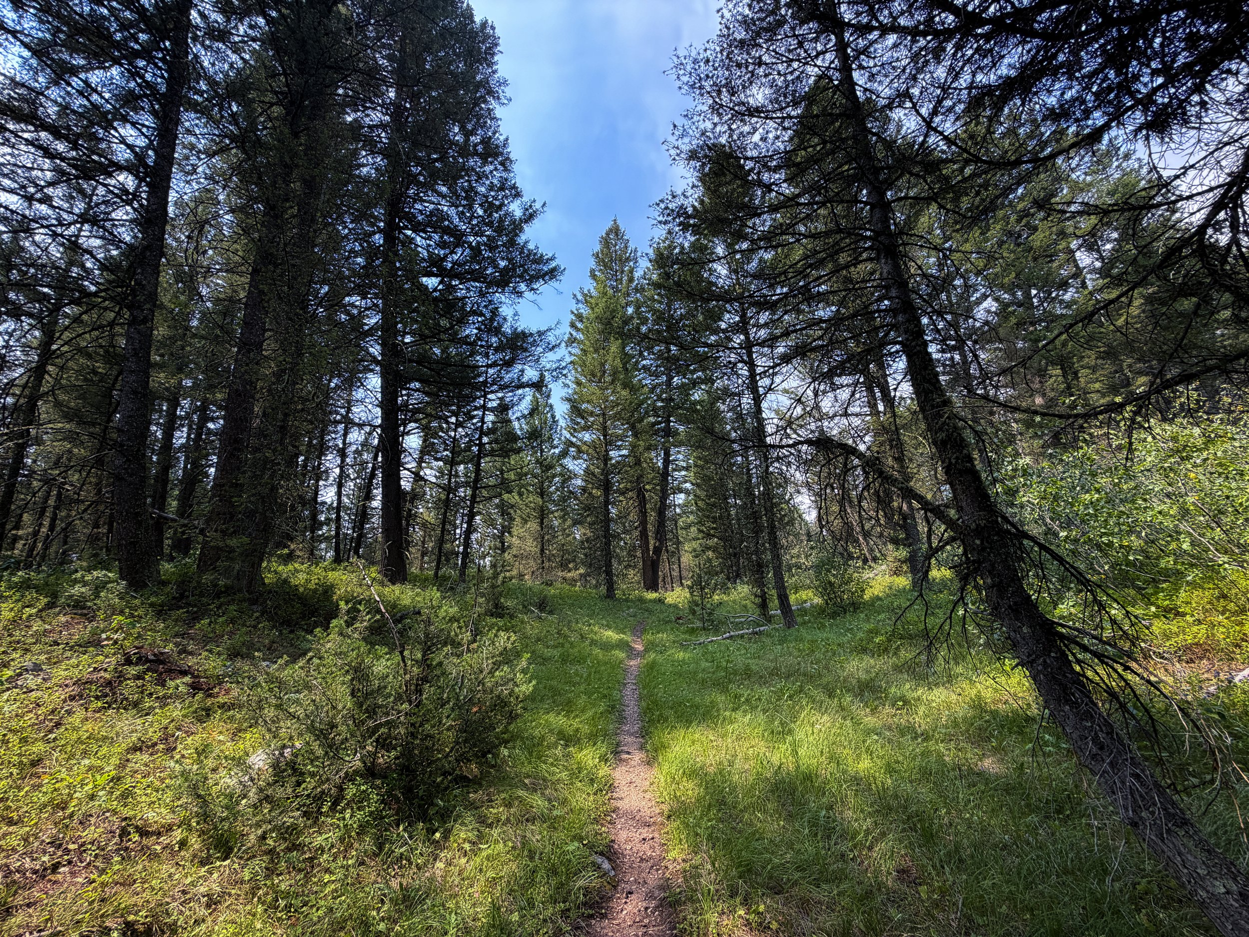 Boulder Ridge Trail Grand Teton National Park Wyoming