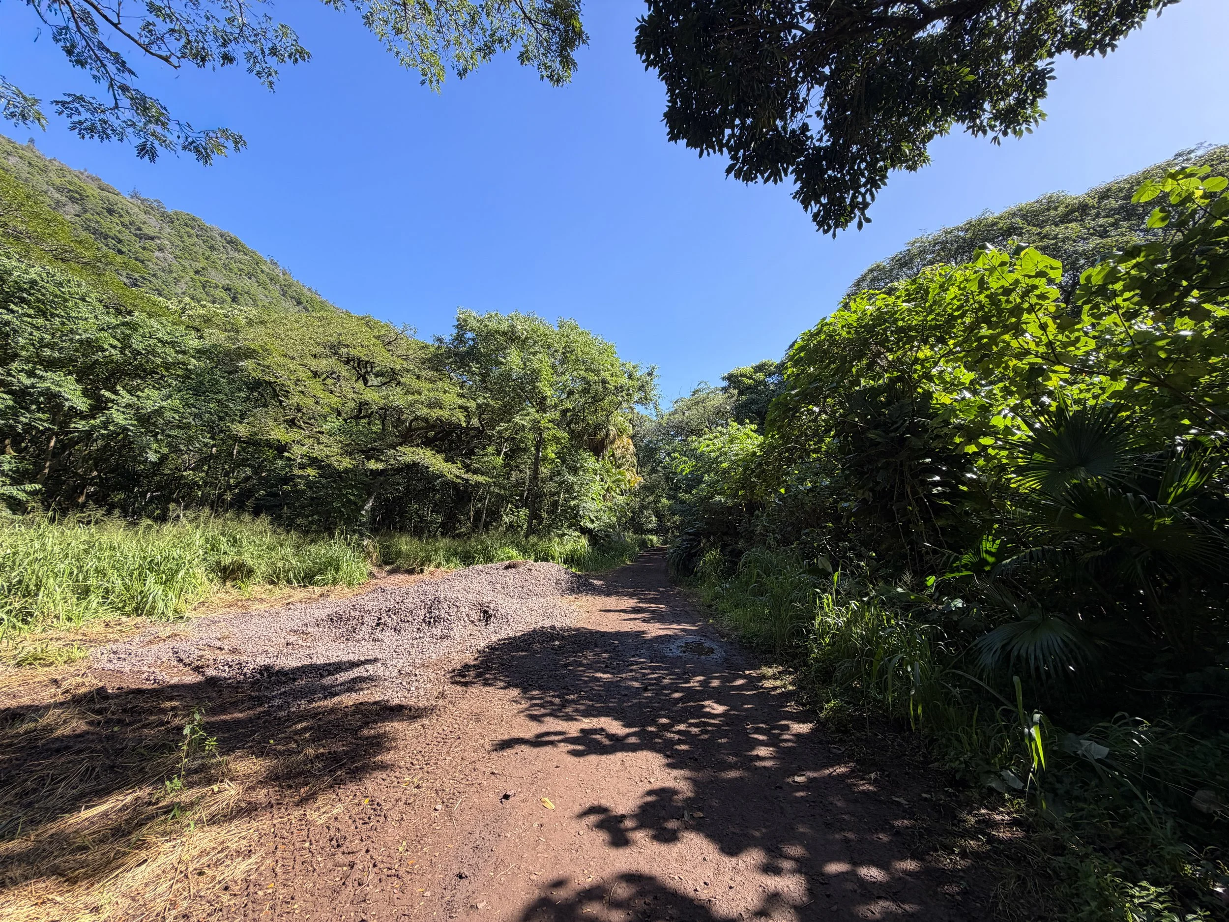 Tripler Ridge Trail via Moanalua Valley Oahu Hawaii