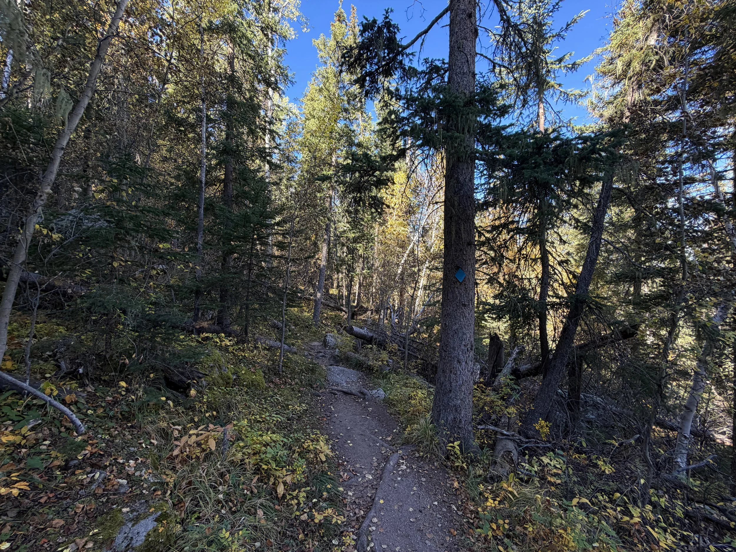 Sunday Gulch Trail Custer State Park Black Hills South Dakota