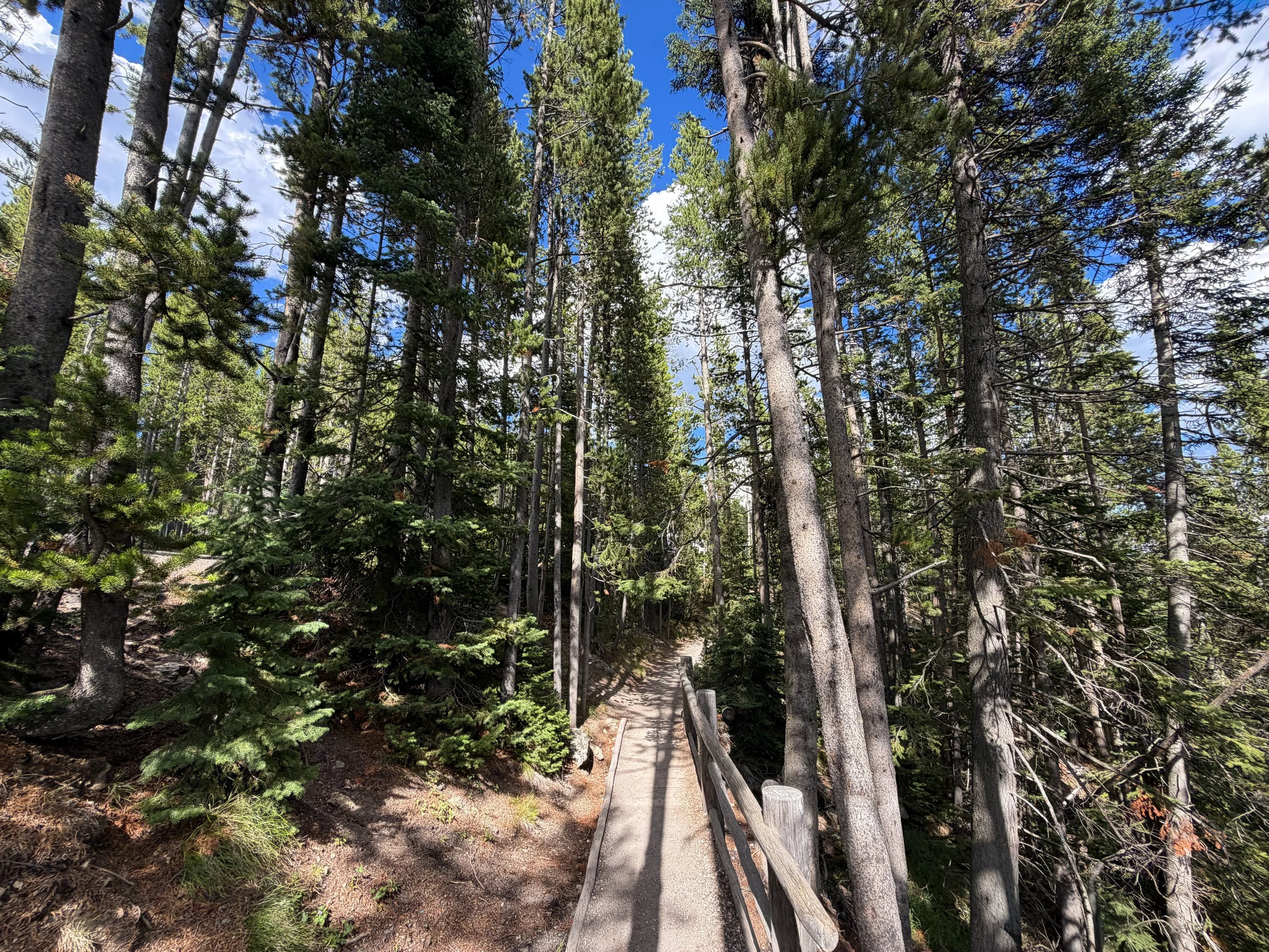 North Rim Trail Yellowstone National Park Wyoming
