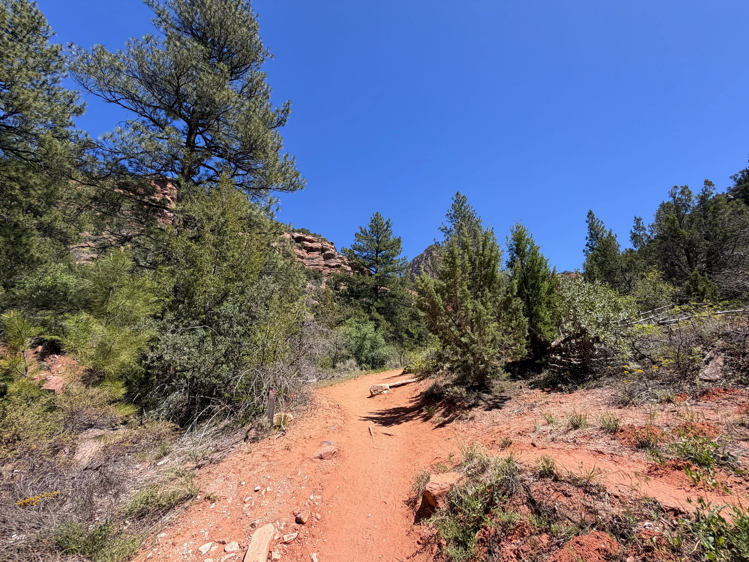 Middle Taylor Creek Trail Zion National Park Utah