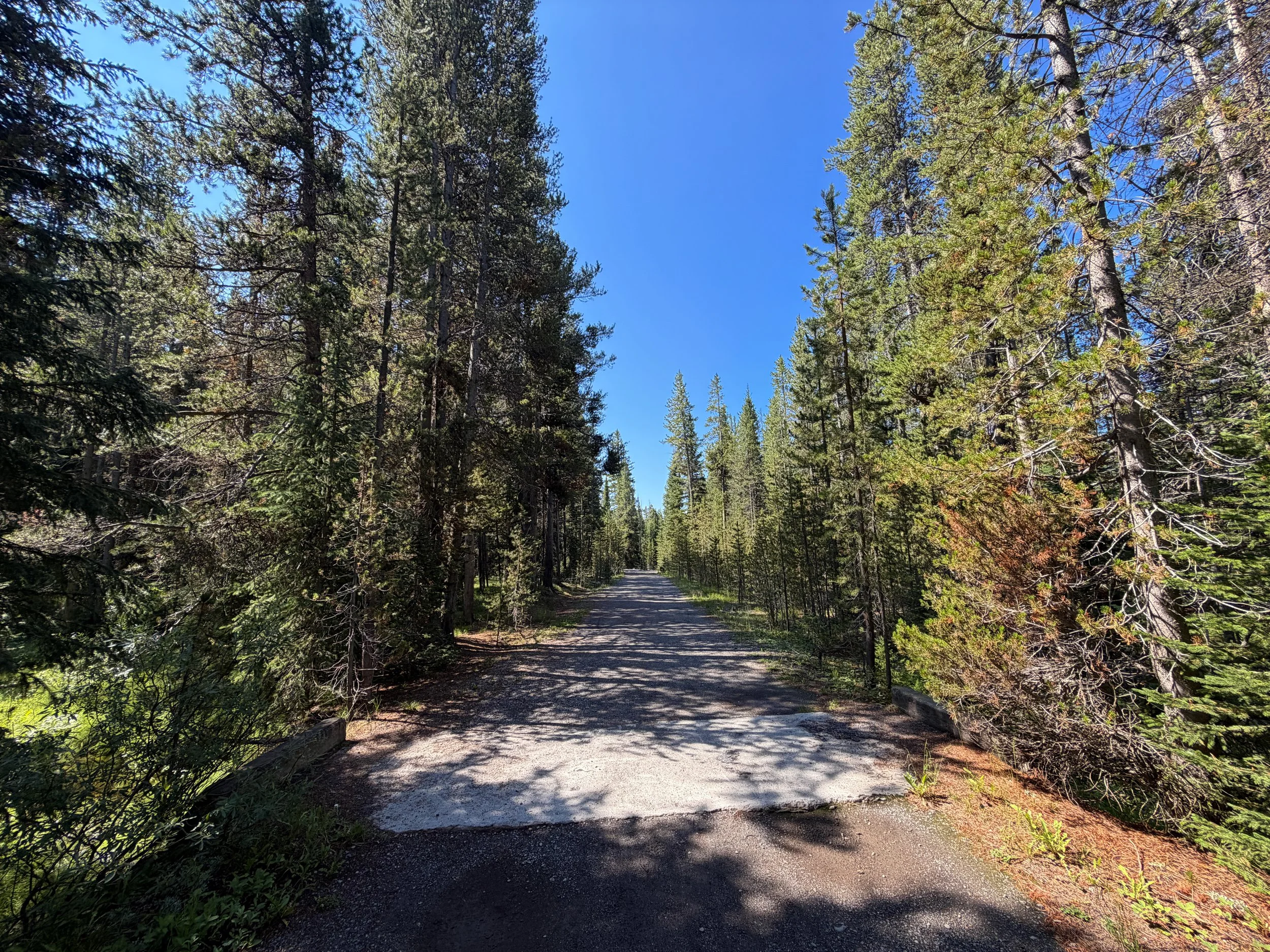 Lone Star Geyser Trail Yellowstone National Park Wyoming