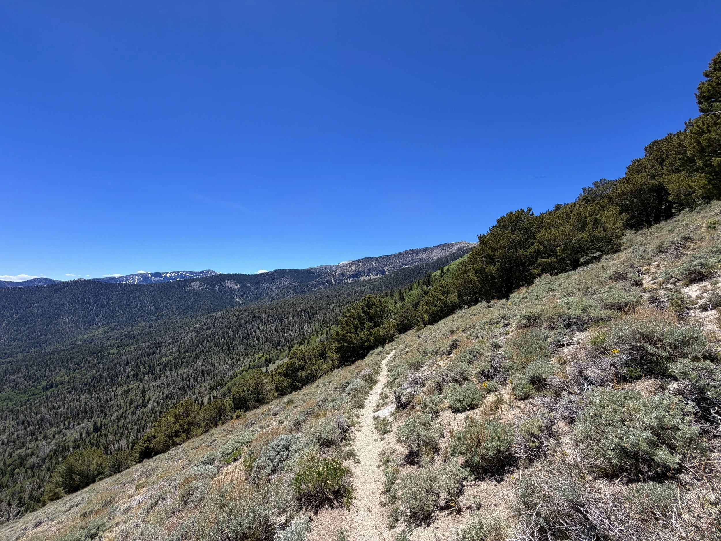 Timber Creek Trail to Johnson Lake Great Basin National Park Nevada
