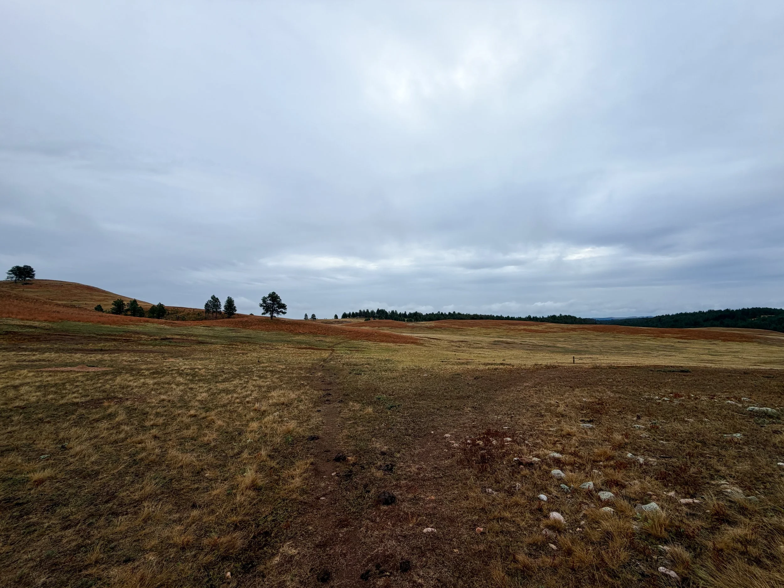 Highland Creek Trail Wind Cave National Park South Dakota