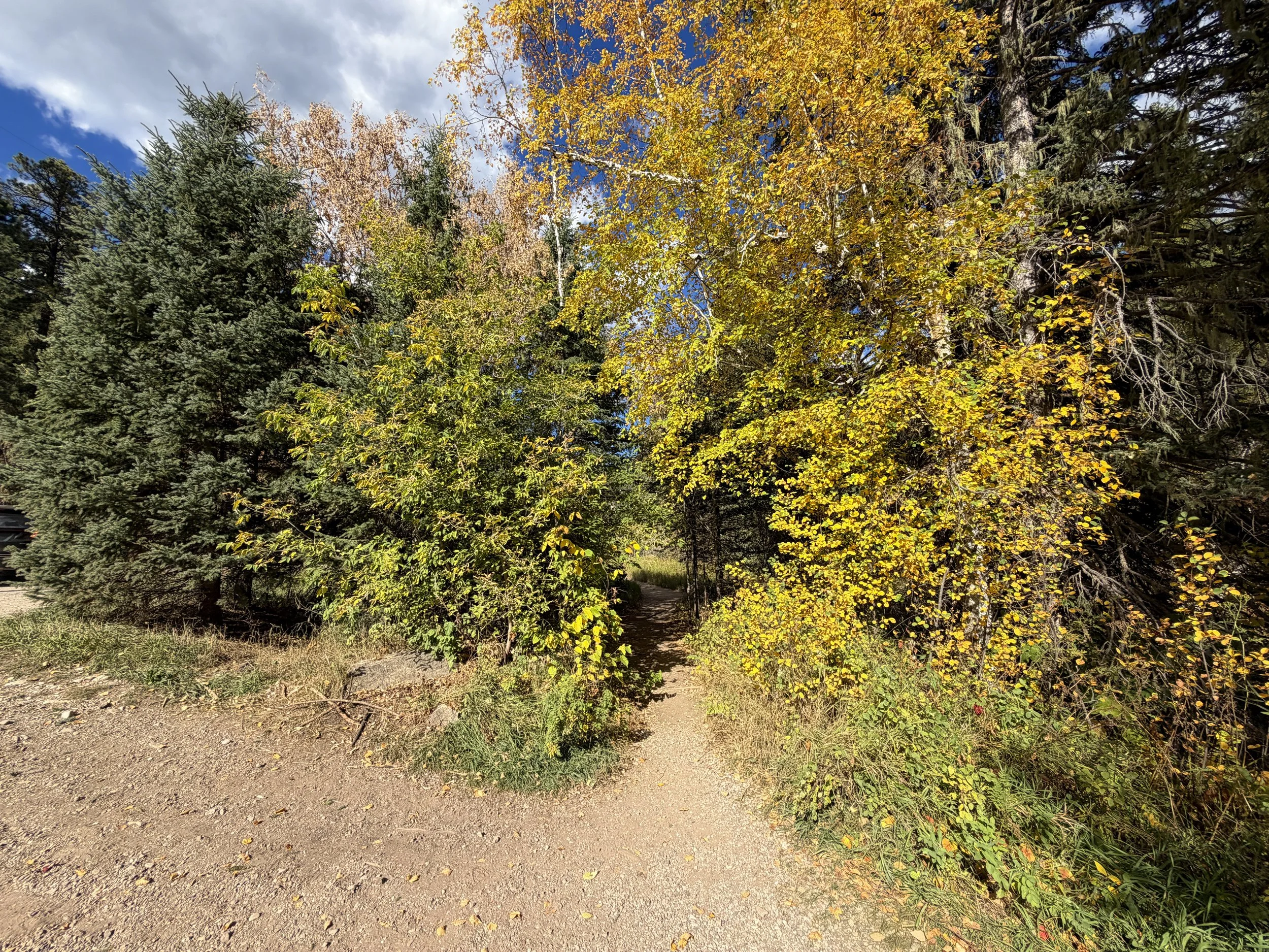 Devils Bathtub Trailhead Spearfish Canyon Black Hills South Dakota