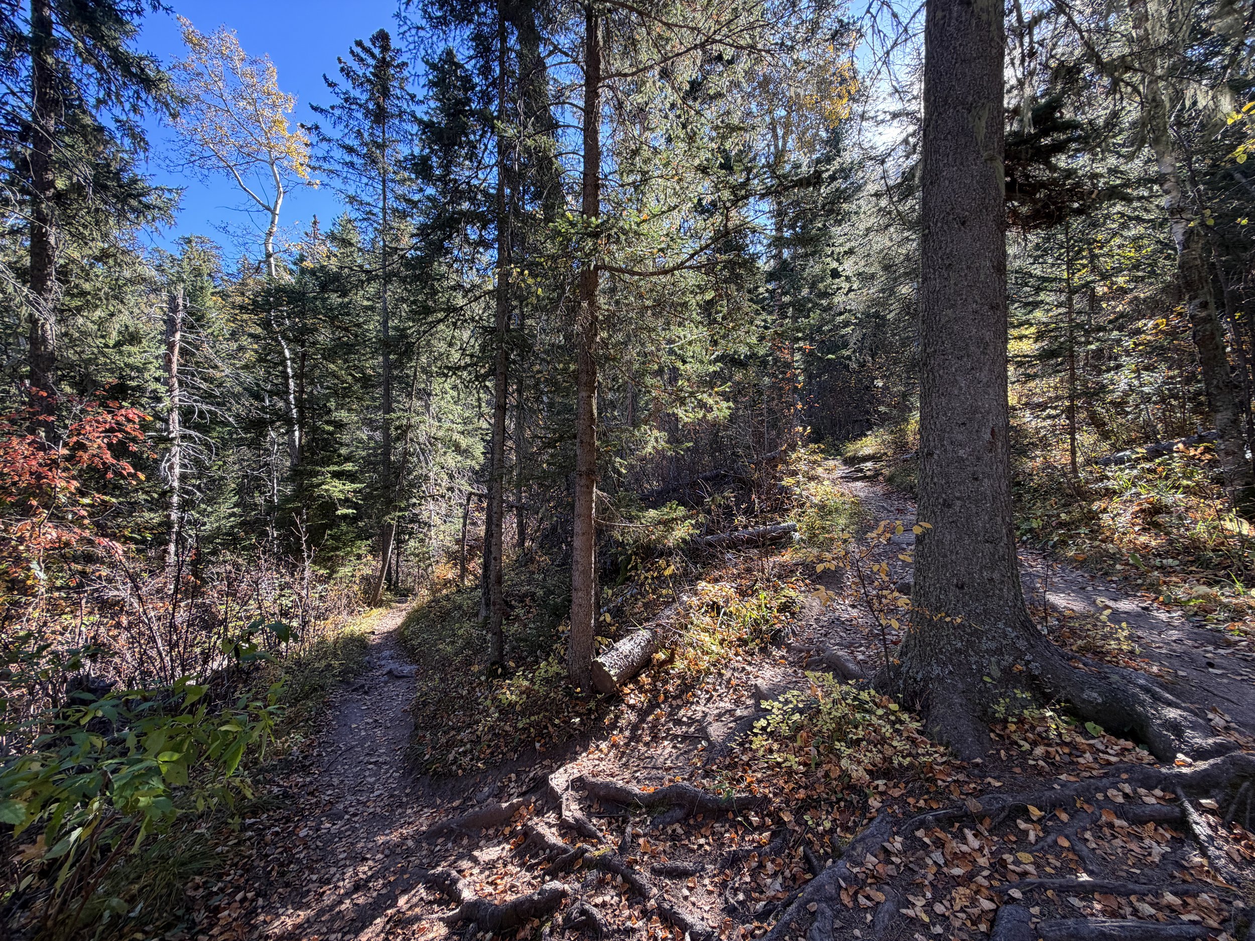 Sunday Gulch Hike Custer State Park Black Hills South Dakota