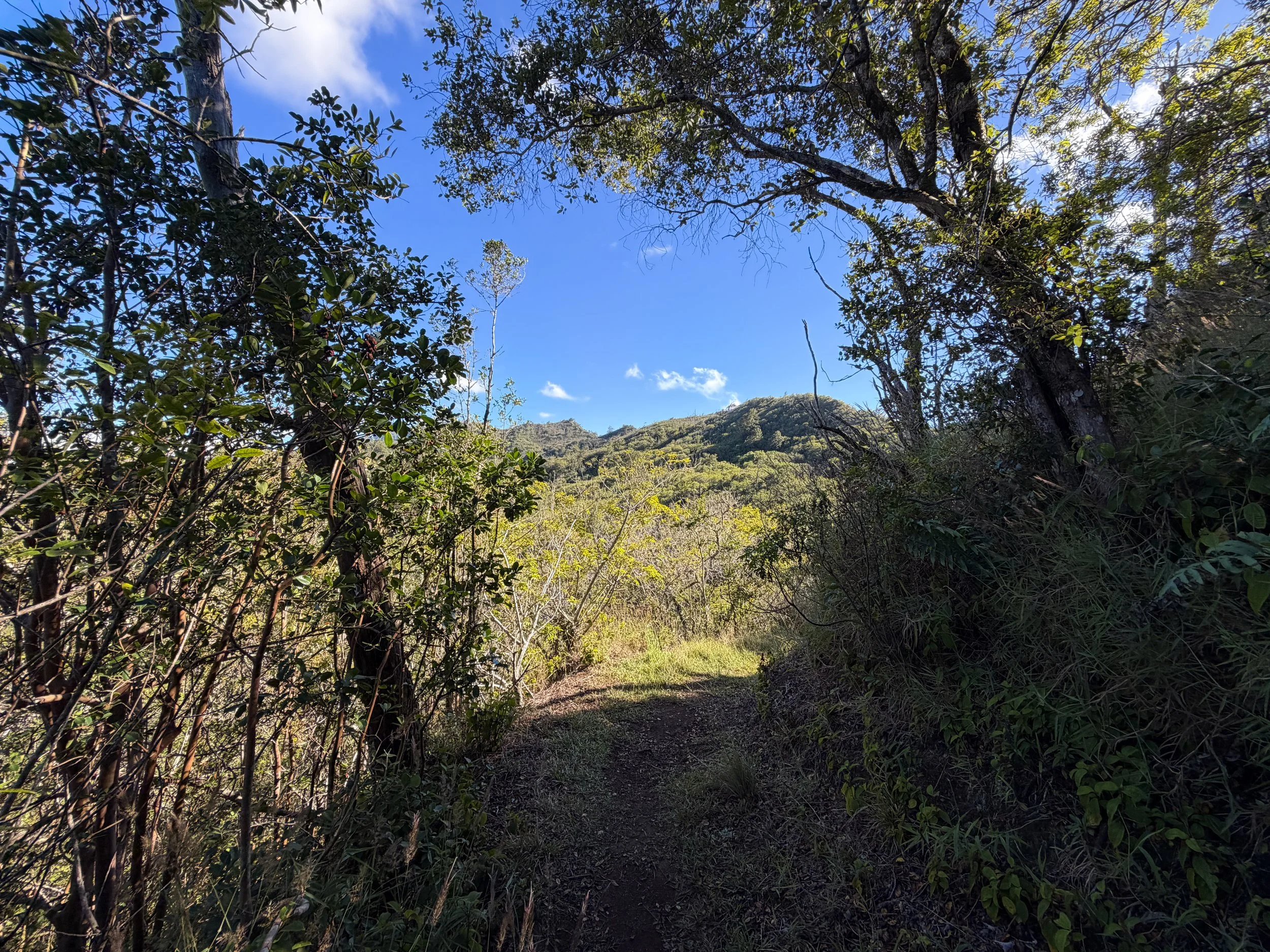 Mokuleia Trail Oahu Hawaii