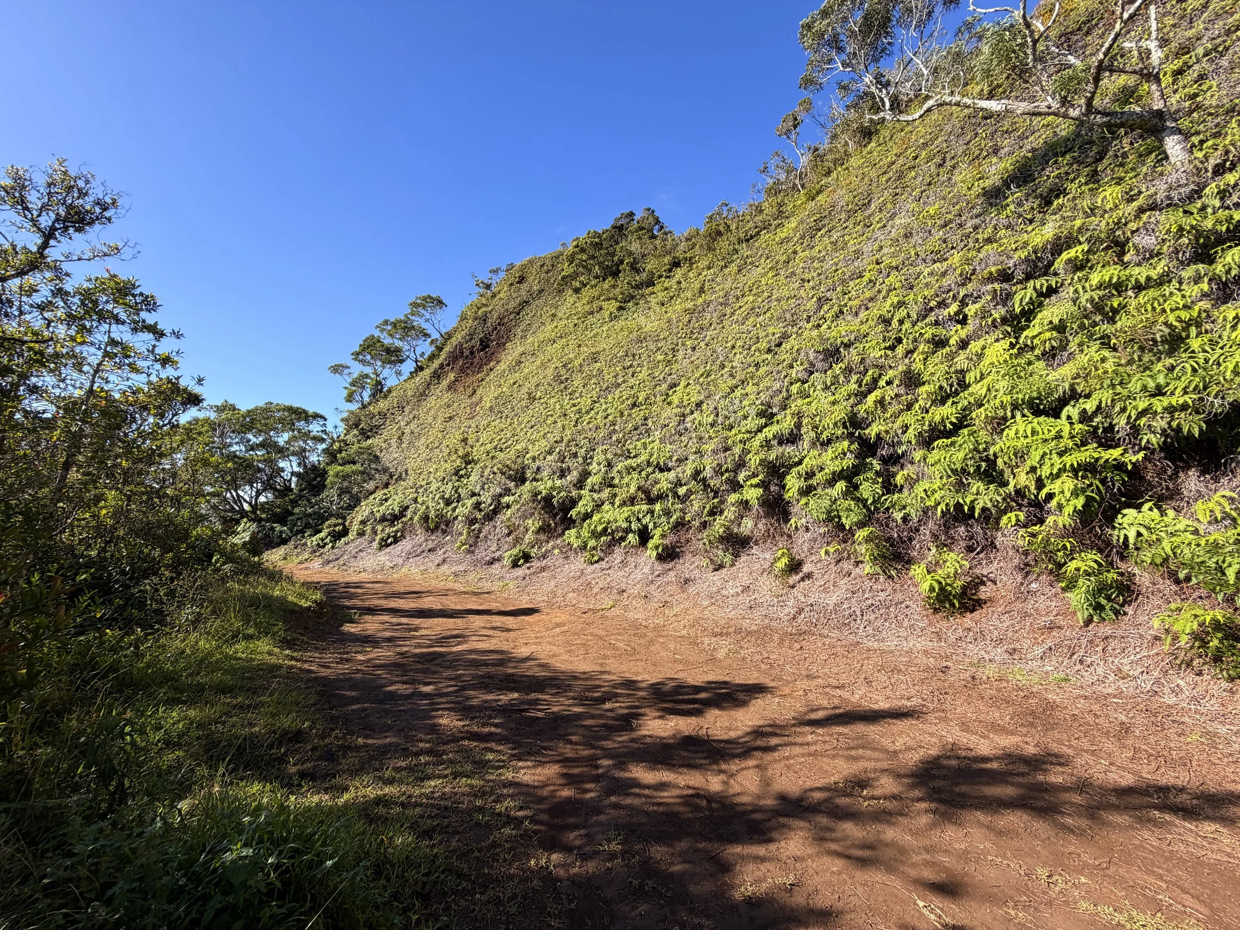Poamoho Trailhead Parking Oahu Hawaii
